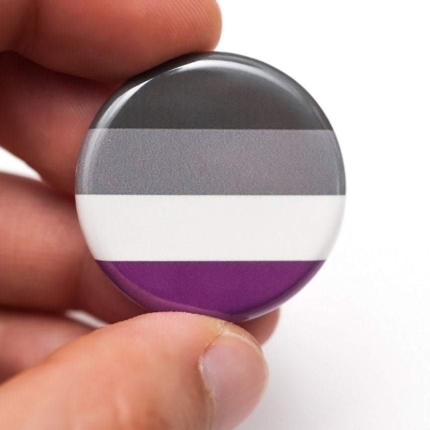ace pride flag lgbtq pin magnet
