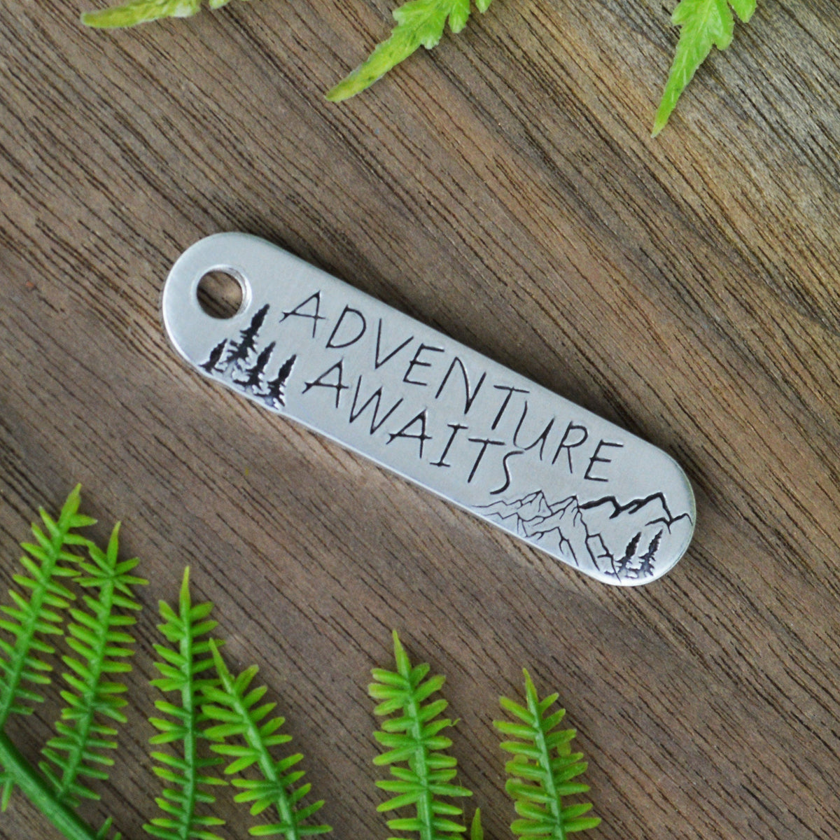 Adventure Awaits Keychain