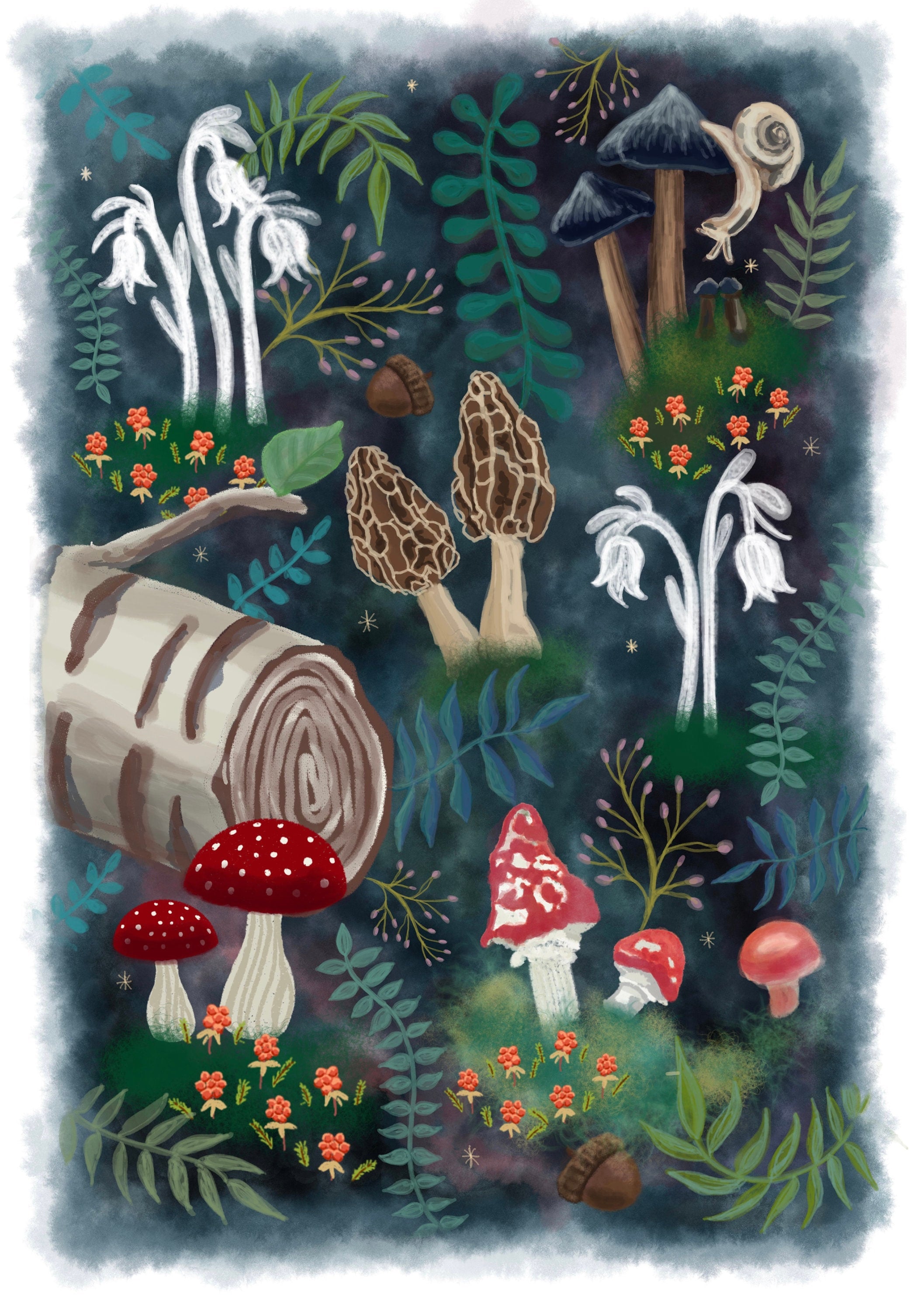 Forest Finds Art Print (unframed)
