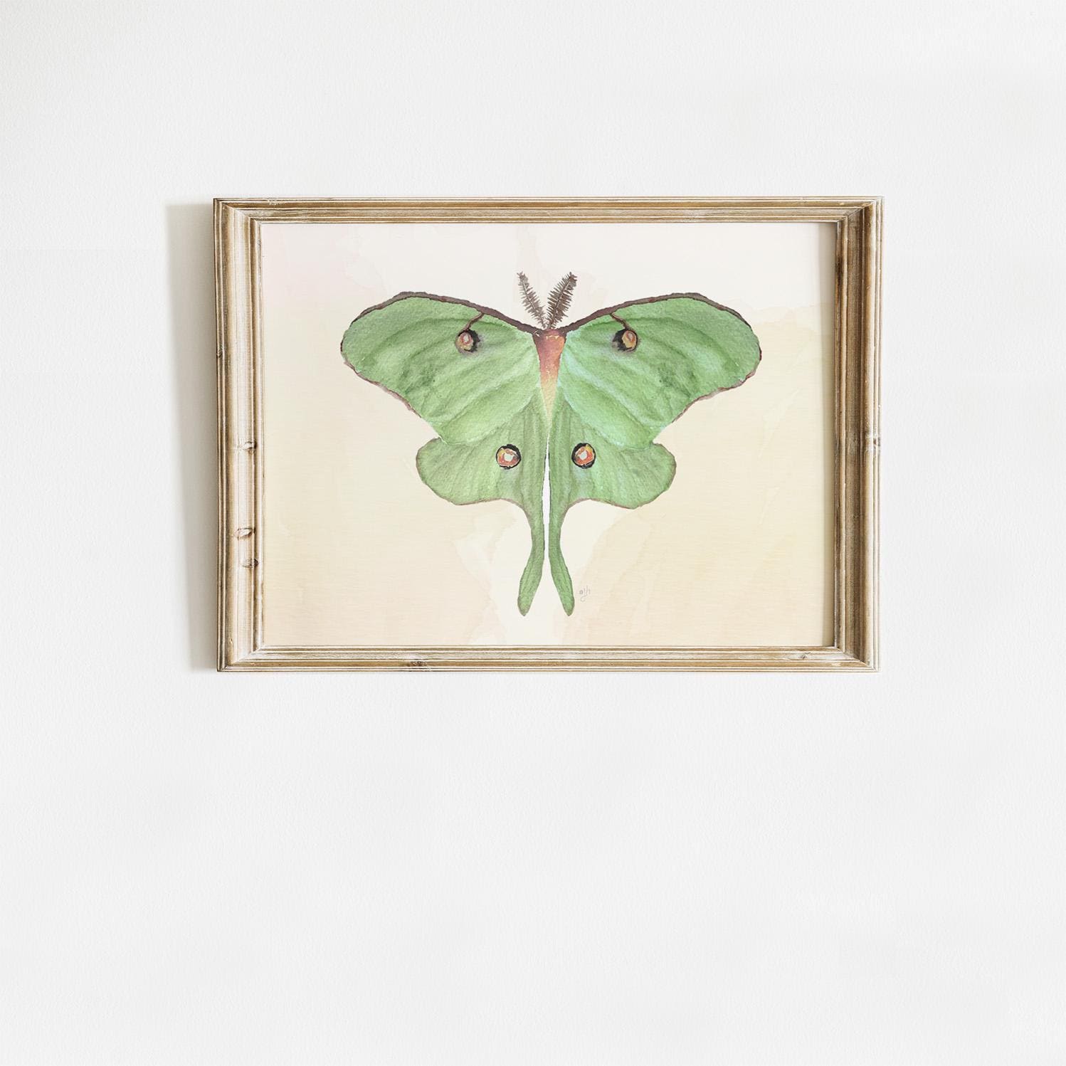 Luna Moth Art Print: Hand-Painted Watercolor Illustration