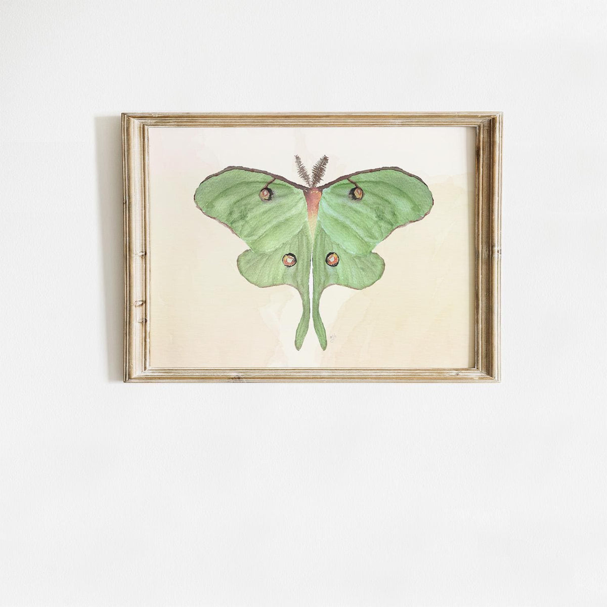 Luna Moth Art Print: Hand-Painted Watercolor Illustration