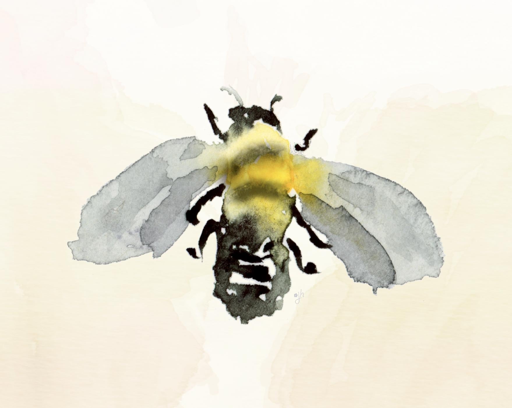 Watercolor Bee Art Print: Honeybee Painting, Unframed
