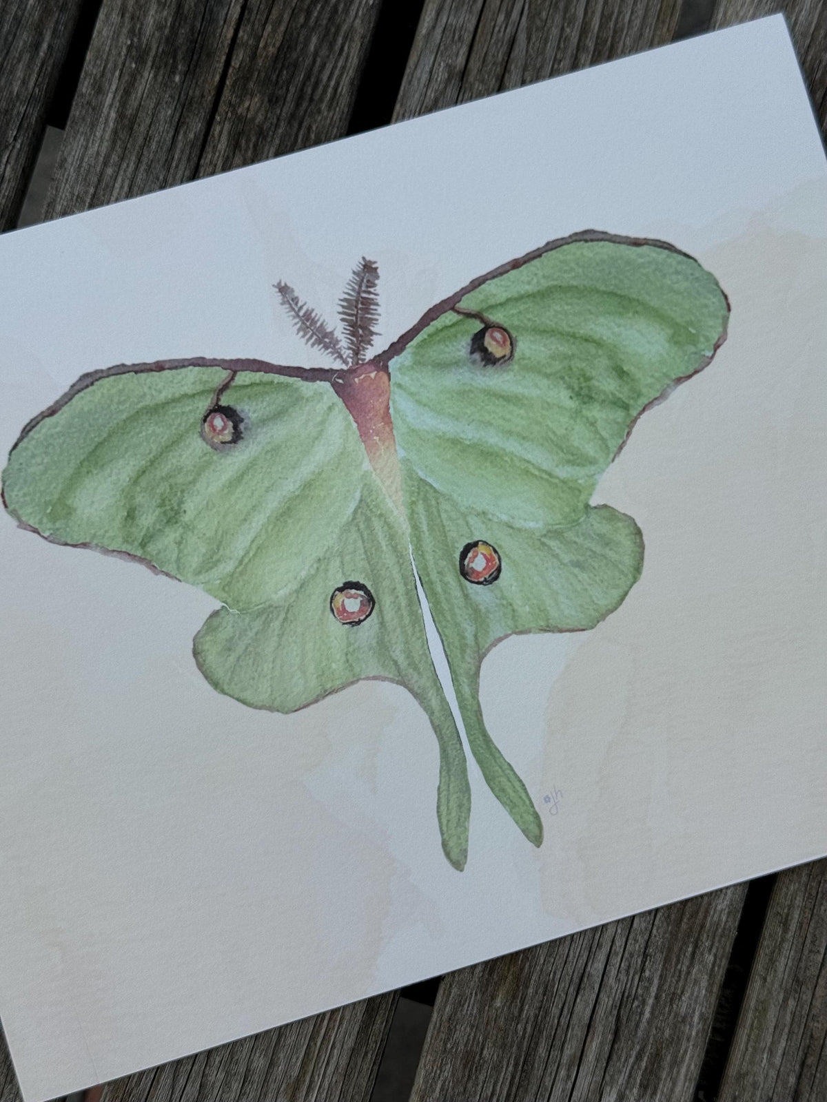 Luna Moth Art Print: Hand-Painted Watercolor Illustration