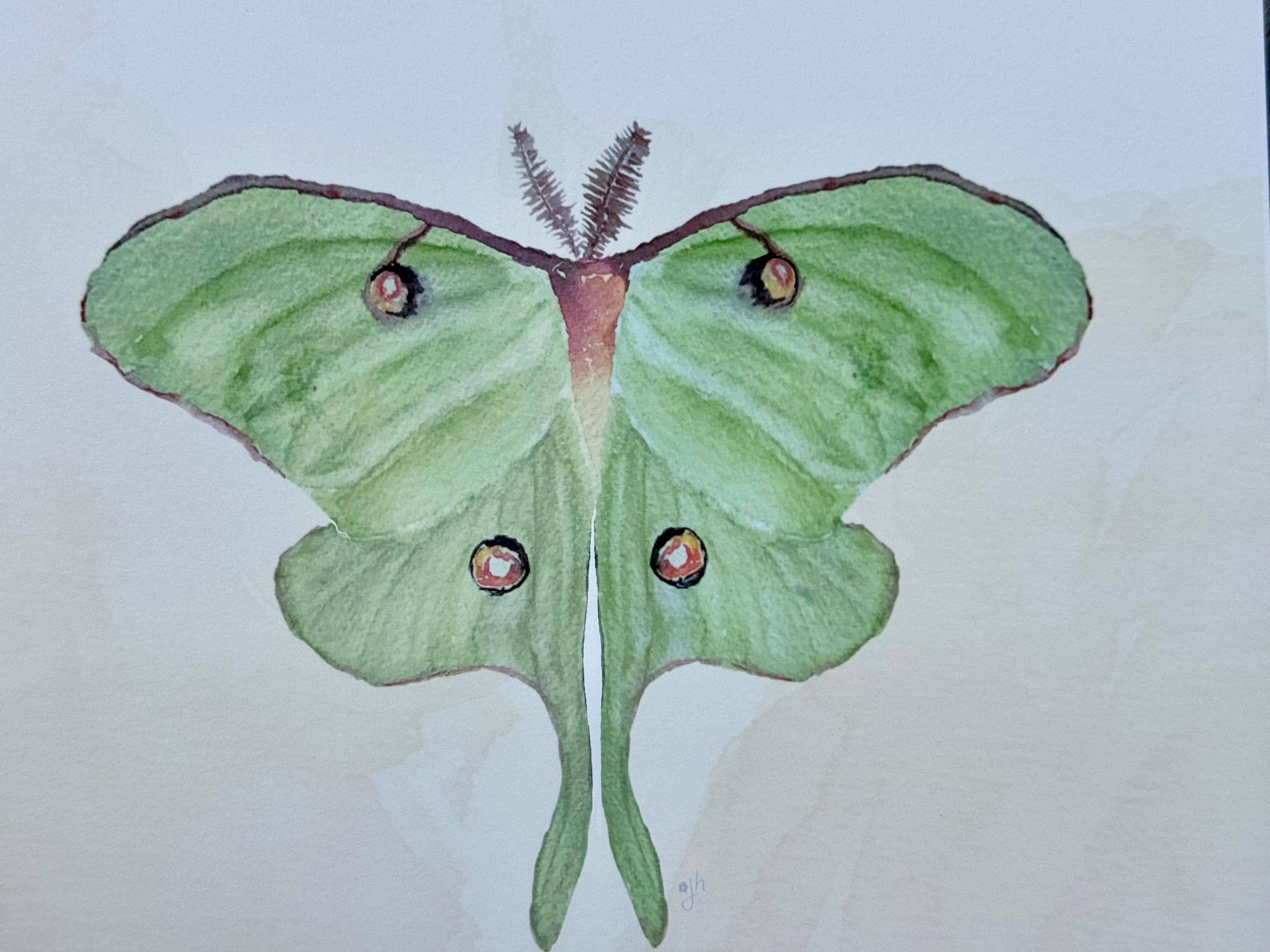 Luna Moth Art Print: Hand-Painted Watercolor Illustration