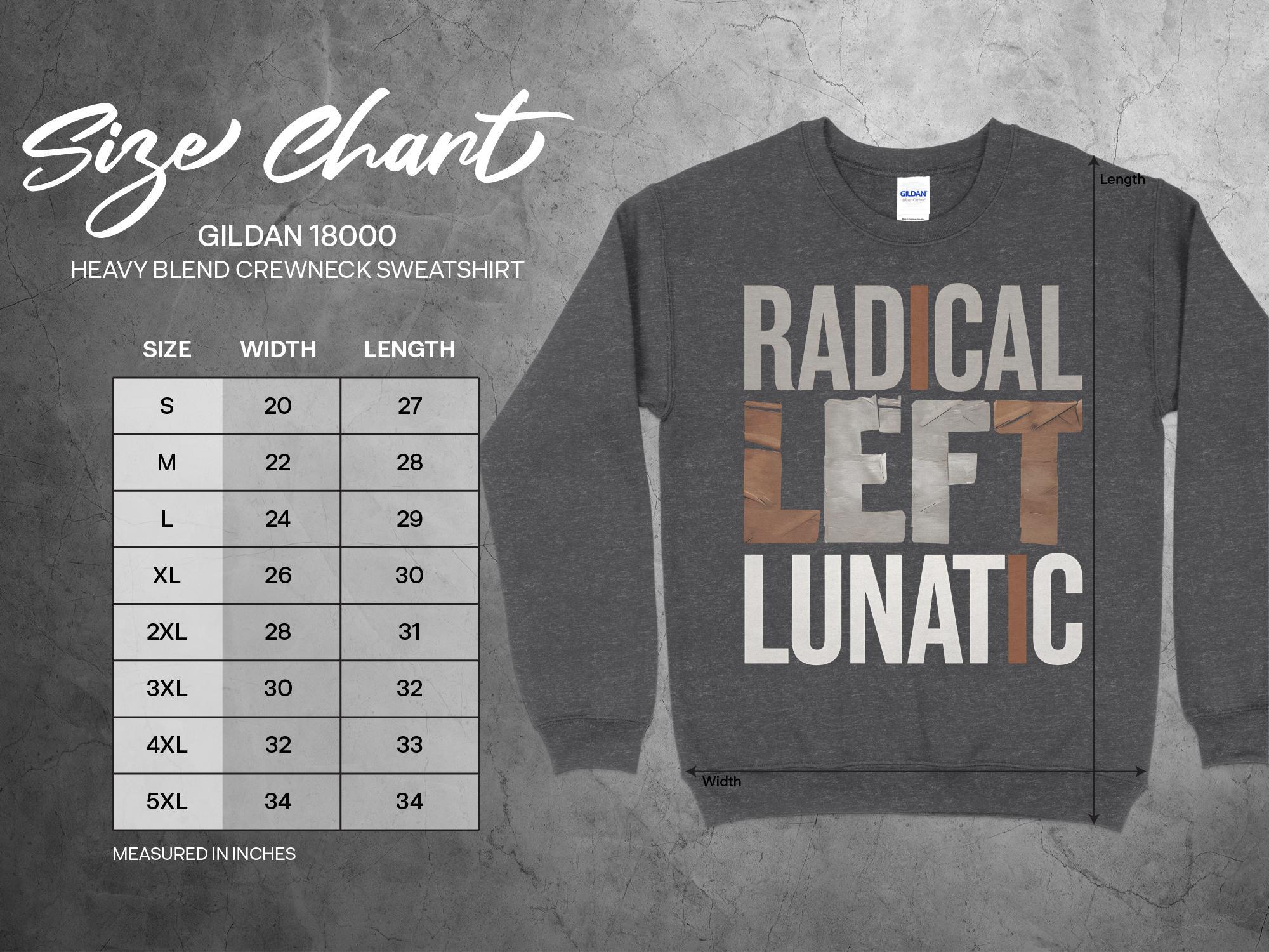 Radical Left Lunatic Shirt, Political Long Sleeve Tee for Democrats, Liberals, Progressives, Resistance T-Shirt, Funny Political Sweatshirt