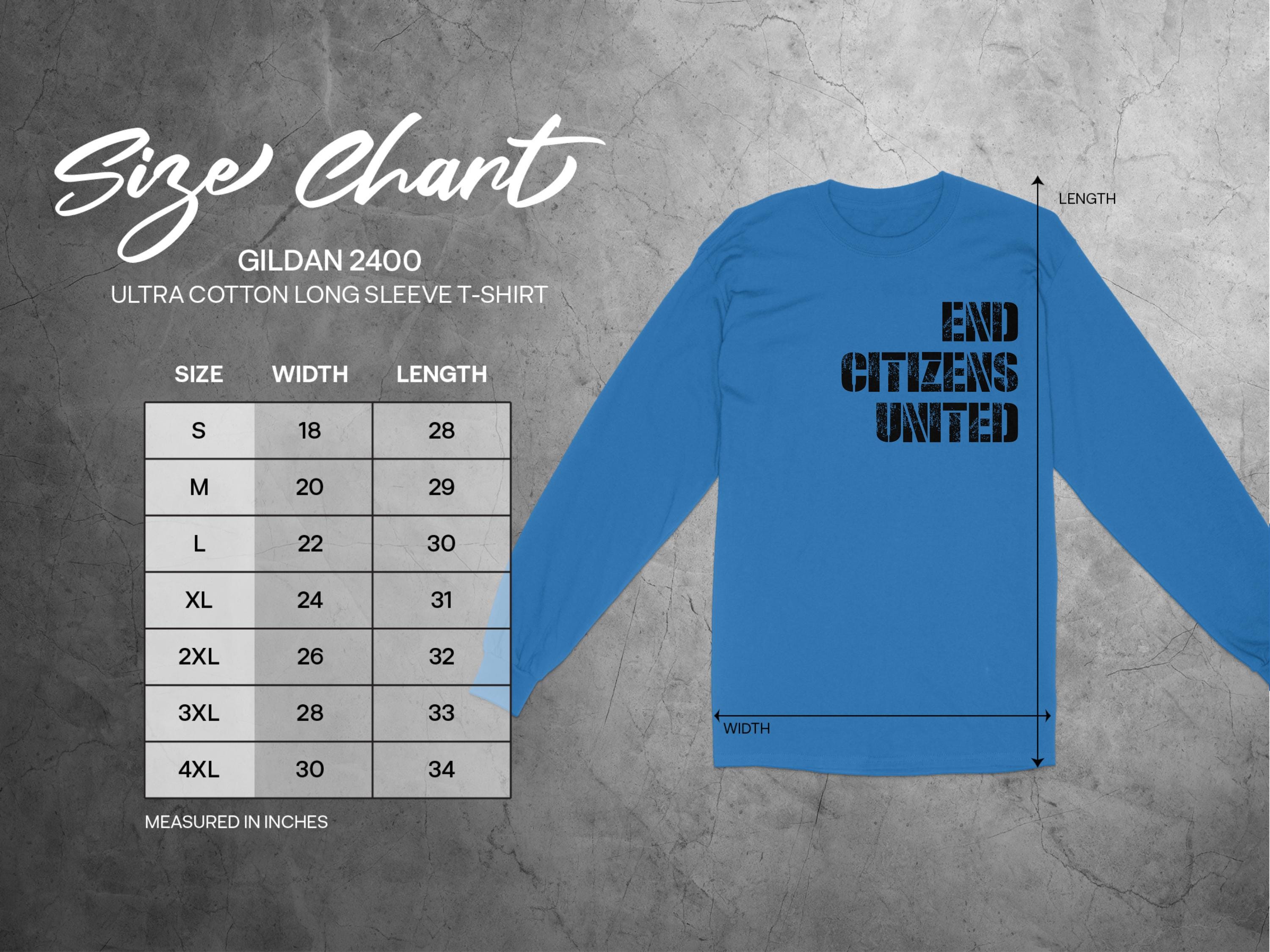 End Citizens United T-Shirt, Protest Tee, Bernie AOC Rally, Anti Trump Shirt, Hate Elon, Resist, Resistance, Fight Oligarchy, Pro Democracy
