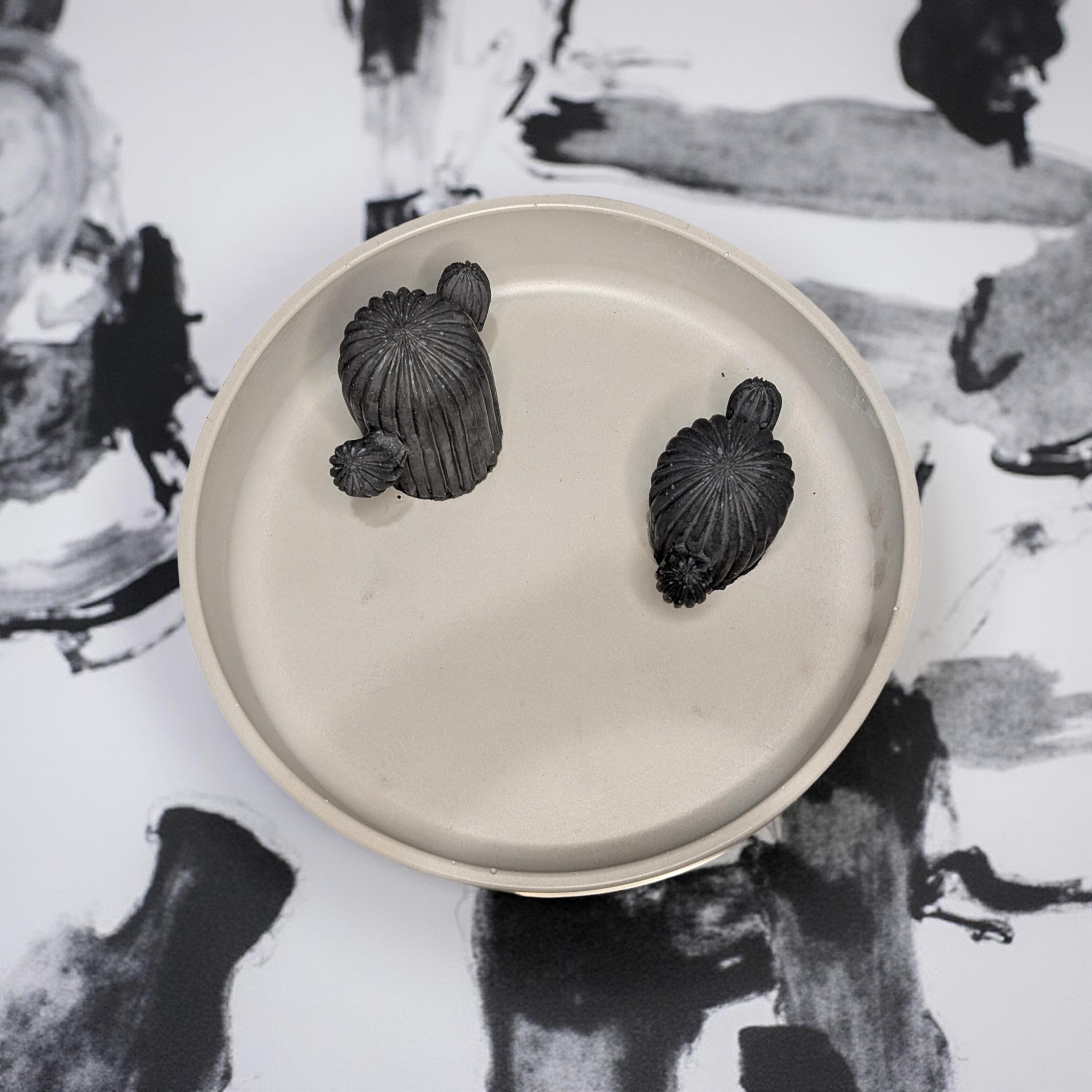 Concrete Cactus Ring Holder Dish – Handmade Jewelry Organizer Bowl | Gift for Her, Bridesmaid Gift, Minimalist Home Decor