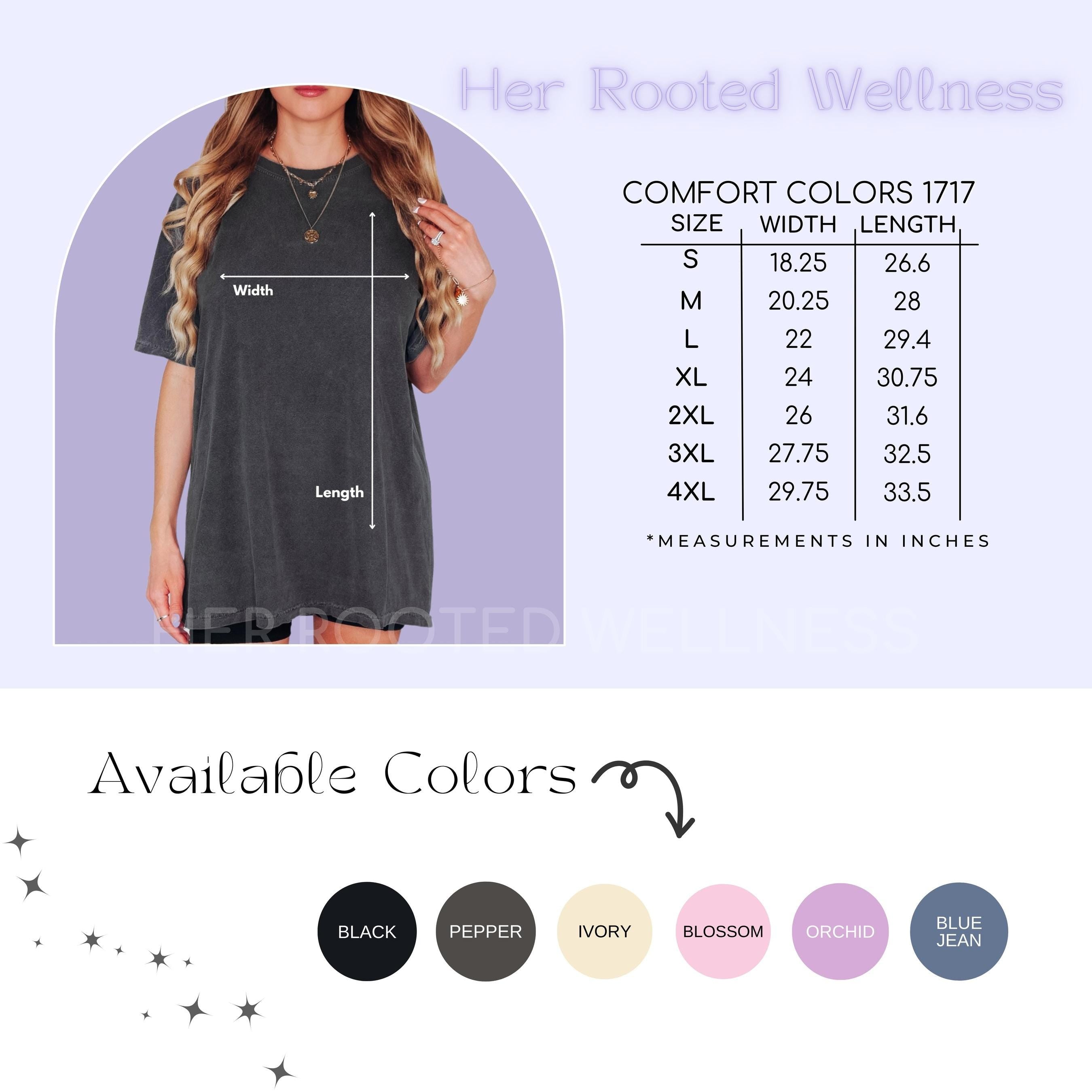 Shame Belongs to the Abuser Feminist Shirt, Female Rage Comfort Colors Tee, CSA SA DV Abuse Survivor Gift, Domestic Violence Awareness Shirt