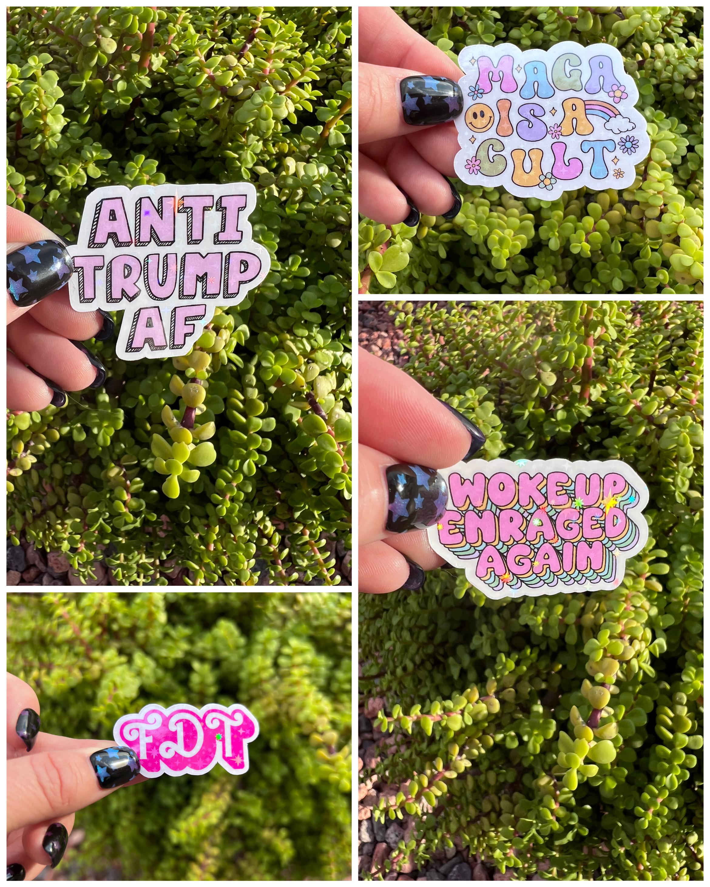 Anti Trump Sticker Bundle (14 stickers): Feminist, Liberal, Resist Decals