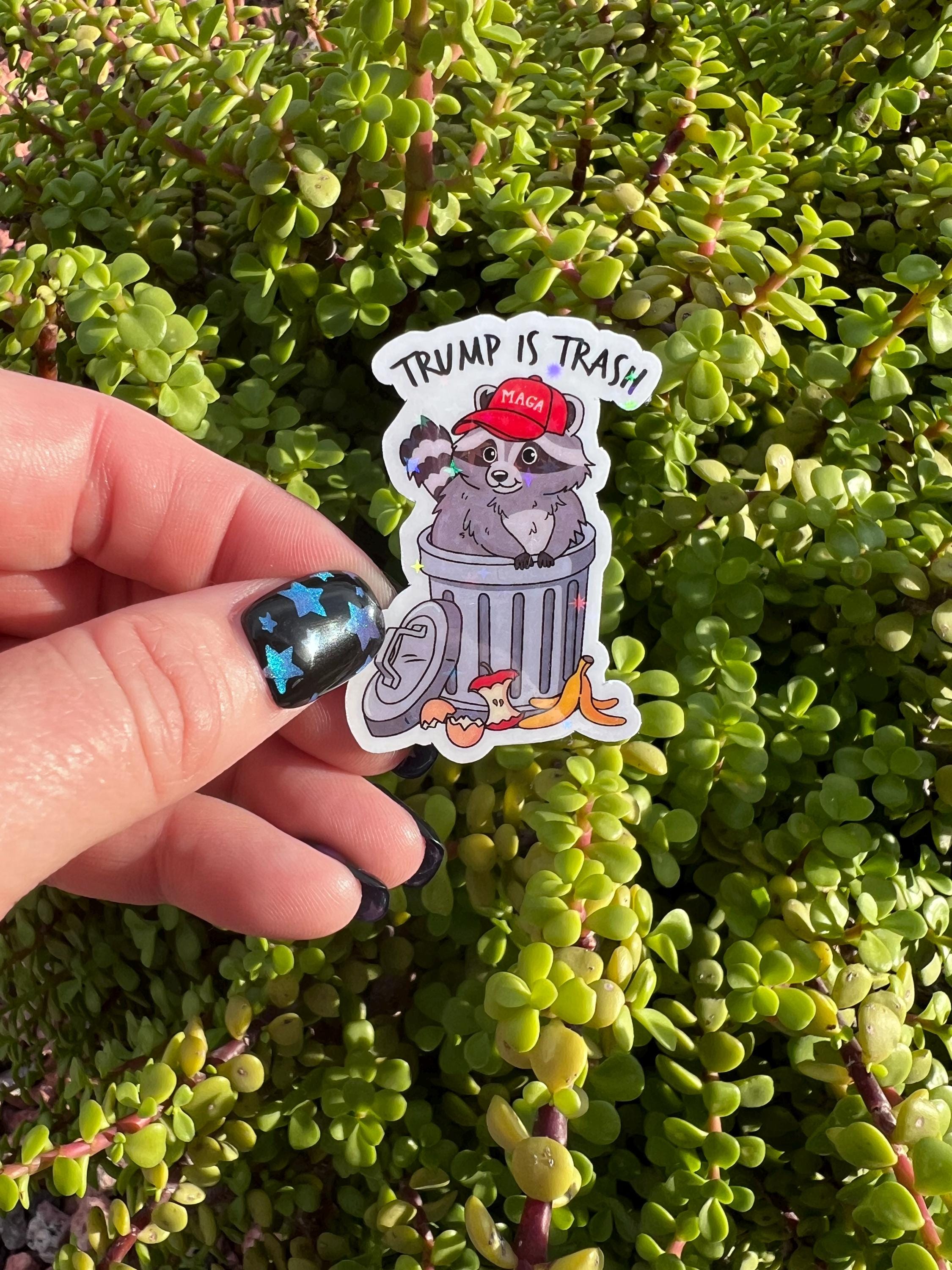 Anti-Trump Sticker Bundle | Political Protest Sticker Pack | 7 Surprise Stickers or Full 14 Piece Resistance Set