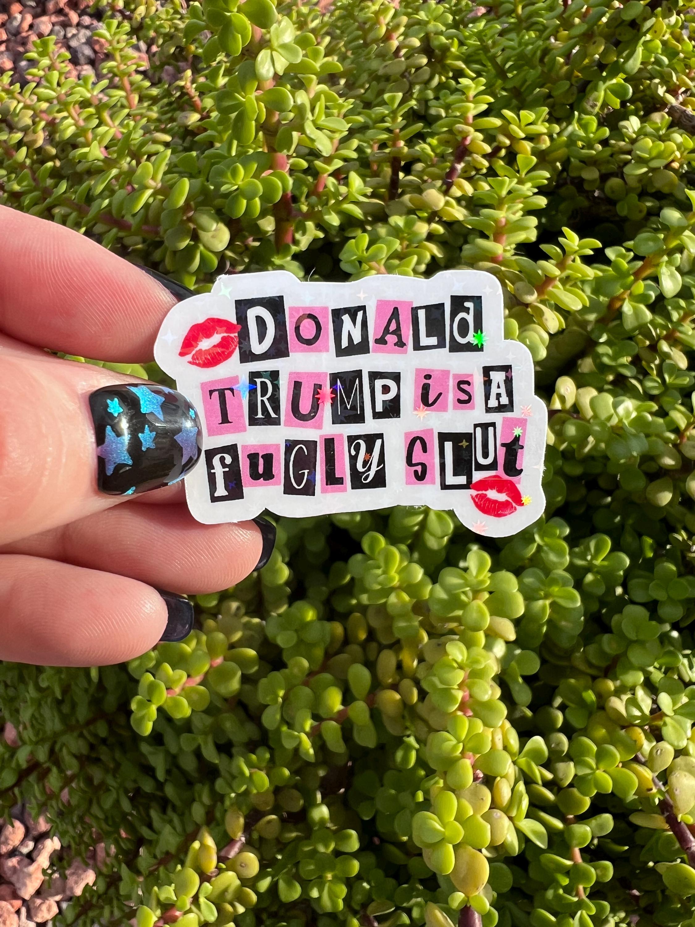 Anti-Trump Sticker Bundle | Political Protest Sticker Pack | 7 Surprise Stickers or Full 14 Piece Resistance Set