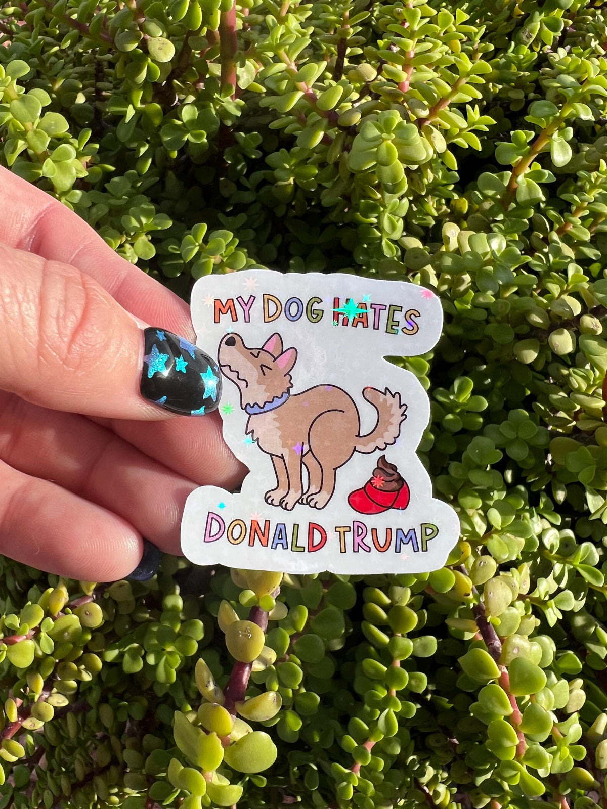 Anti-Trump Sticker Bundle | Political Protest Sticker Pack | 7 Surprise Stickers or Full 14 Piece Resistance Set