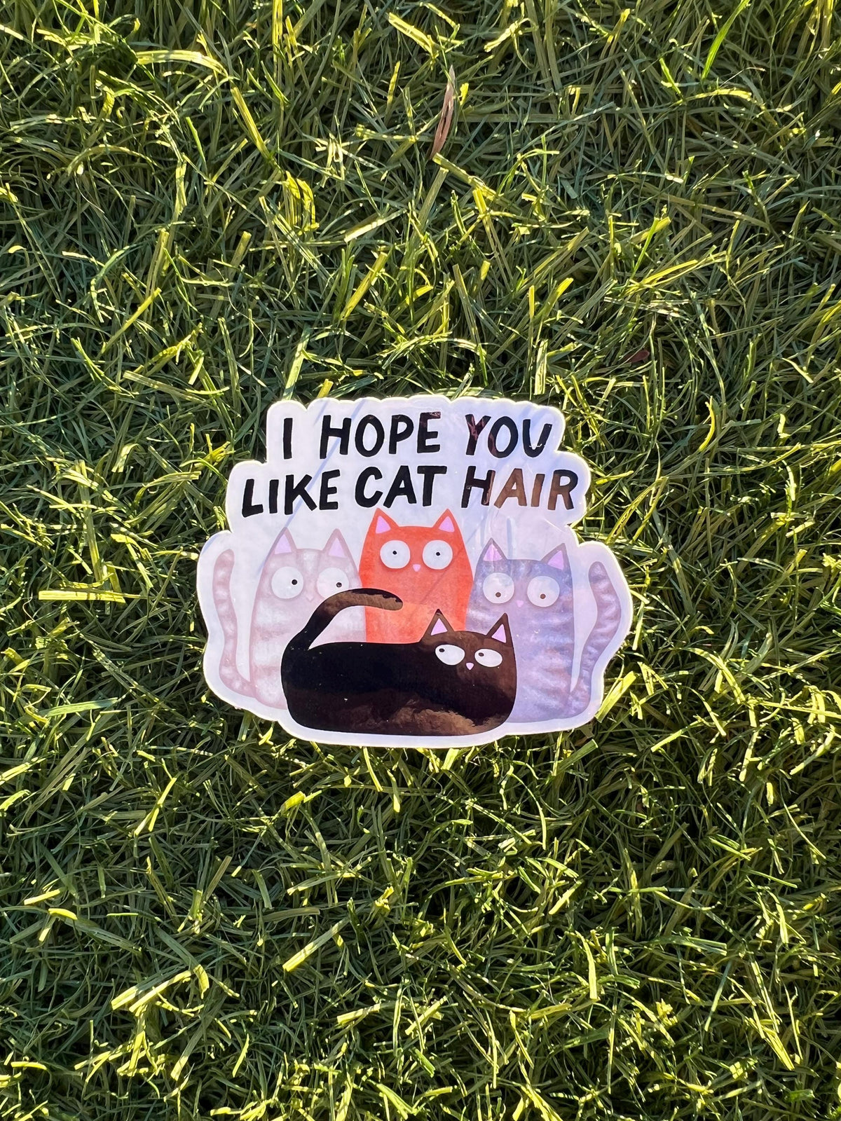 I Hope You Like Cat Hair Sticker β Funny Cat Mom Gift, Cat Lover Humor, Cute Water-Resistant Vinyl Decal, 2" or 3β