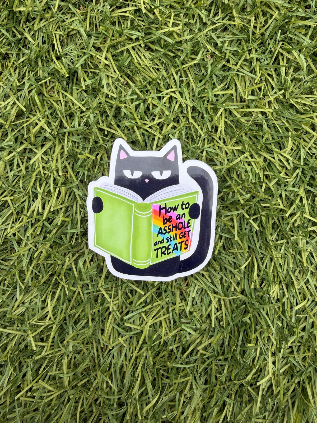 Sassy Cat Reading Sticker – “How to Be an A**hole” Pet Humor Decal | 2” or 3” | Clear Overlay | Funny Cat Lover Gift