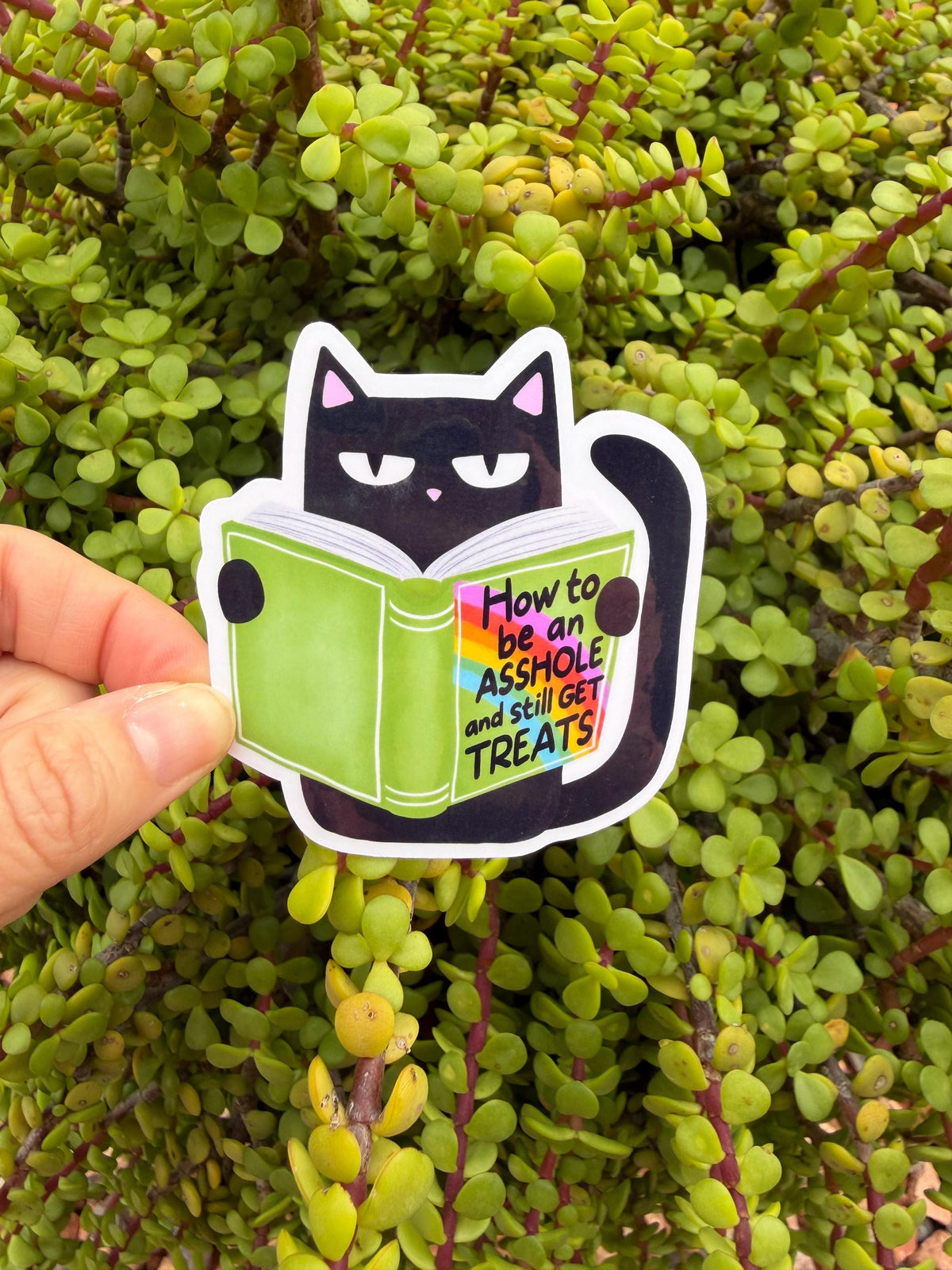 May include: A black cat sticker reading a green book with the text "How to be an ASSHOLE and still GET TREATS". The cat has pink inner ears and is set against a background of green leaves.