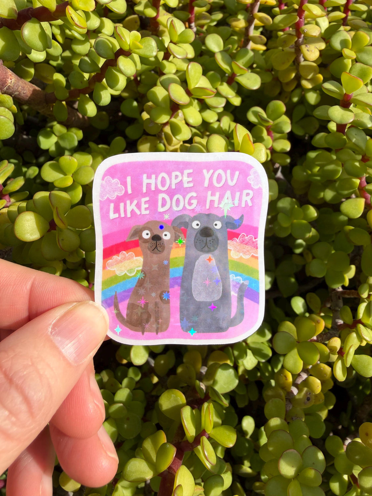 I Hope You Like Dog Hair Sticker – Funny Dog Mom Gift, Rainbow Pet Lover Decal, Water-Resistant Vinyl Sticker, 2" or 3"