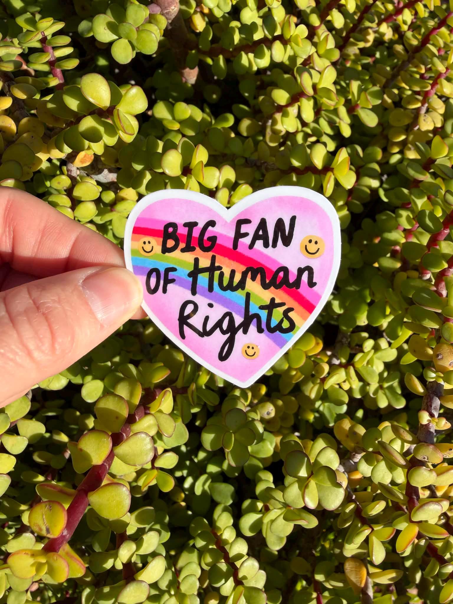 Big Fan of Human Rights Sticker | Rainbow Heart Vinyl Sticker | Pro Equality Pride Sticker 2" or 3"