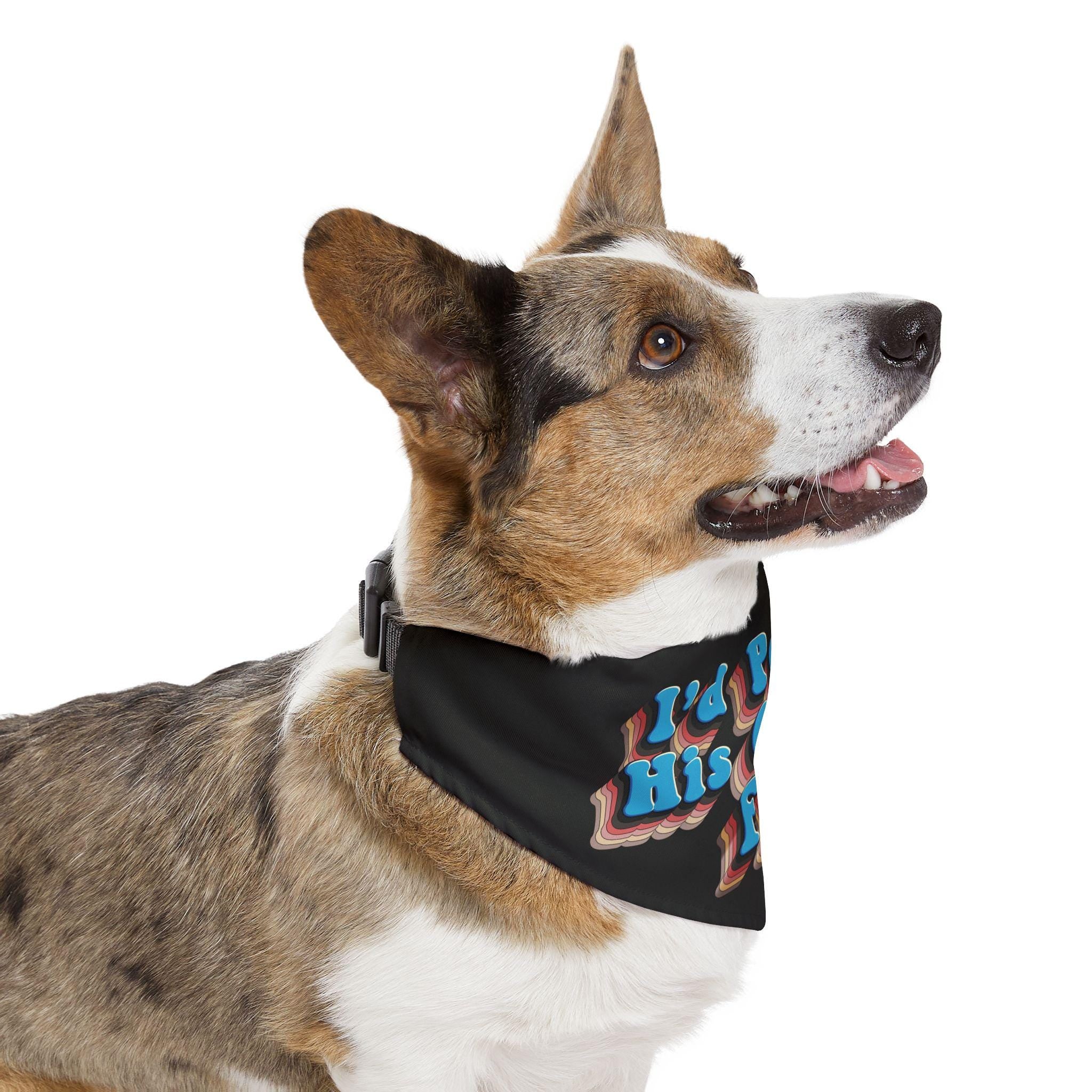 Corgi wearing a black bandana with "I&