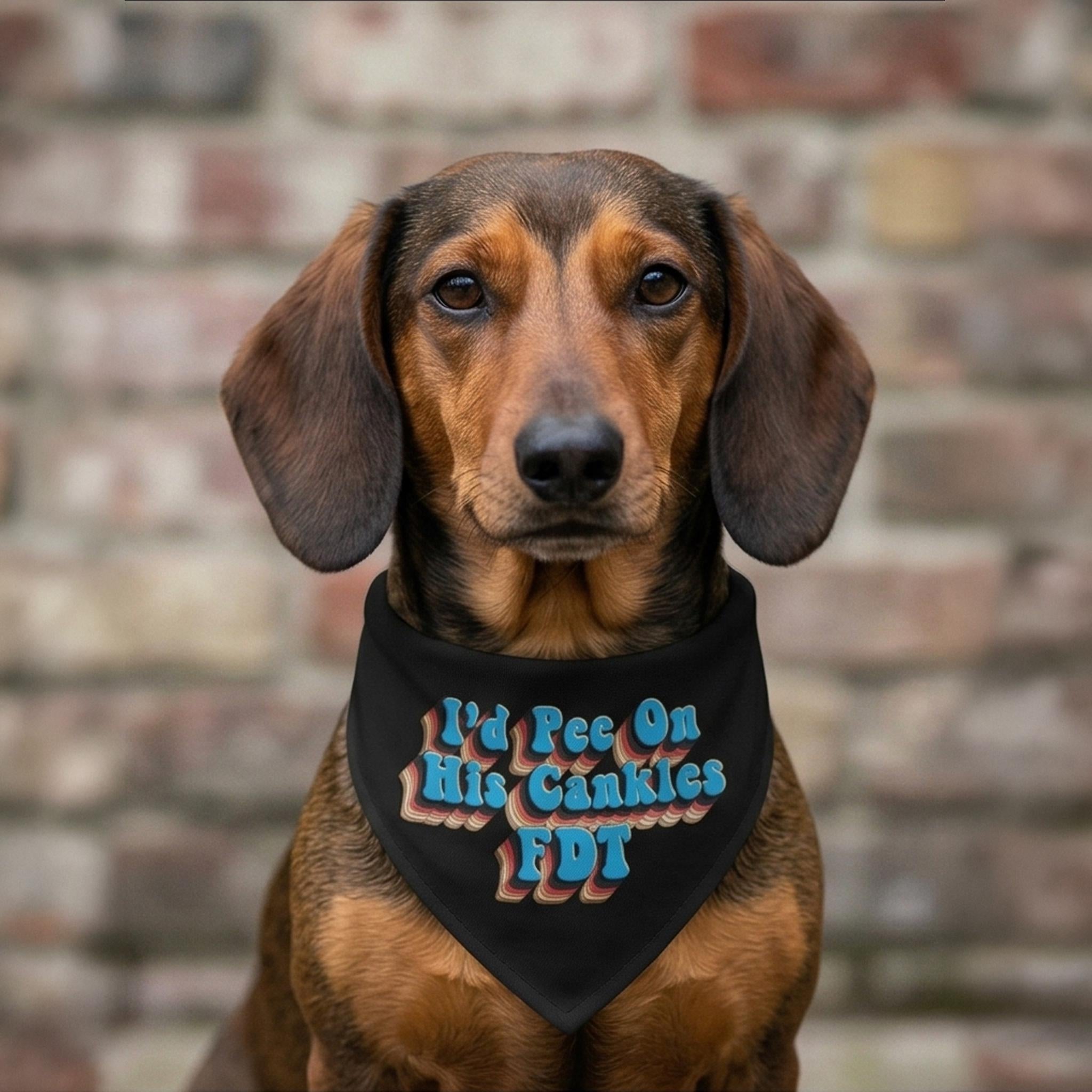 Dachshund wearing a bandana with text "I&