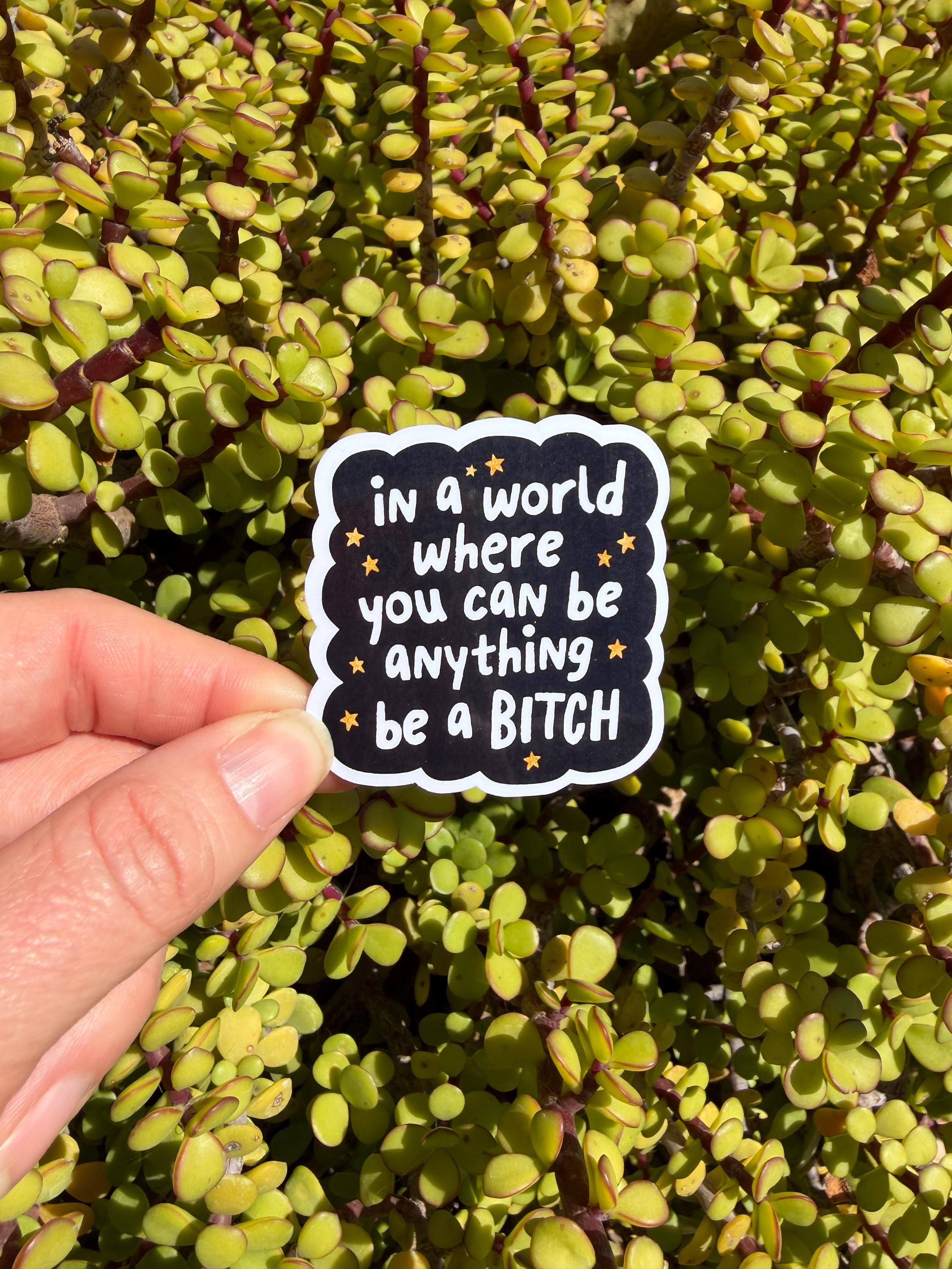 Be a Bitch Sticker Funny Sarcastic Quote Sticker | Feminist Snarky Humor Decal | Laptop Water Bottle Kindle Sticker