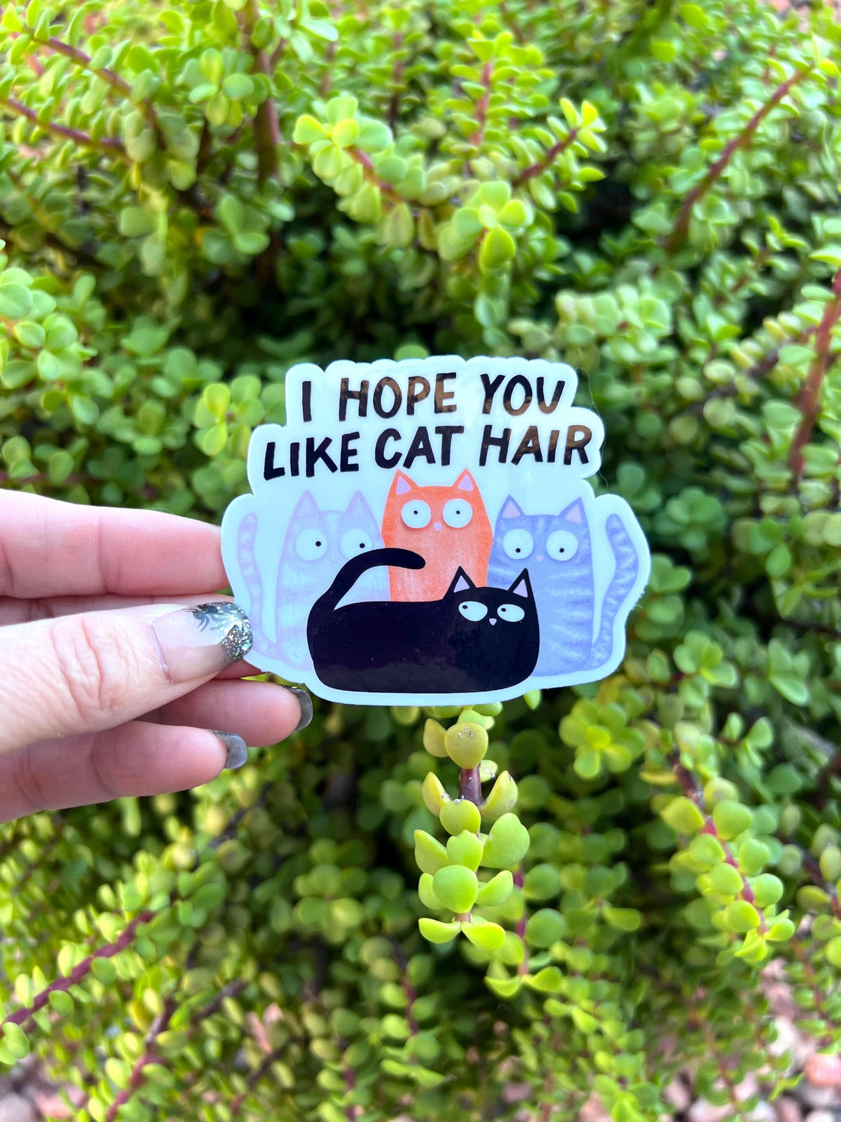 I Hope You Like Cat Hair Sticker β Funny Cat Mom Gift, Cat Lover Humor, Cute Water-Resistant Vinyl Decal, 2" or 3β
