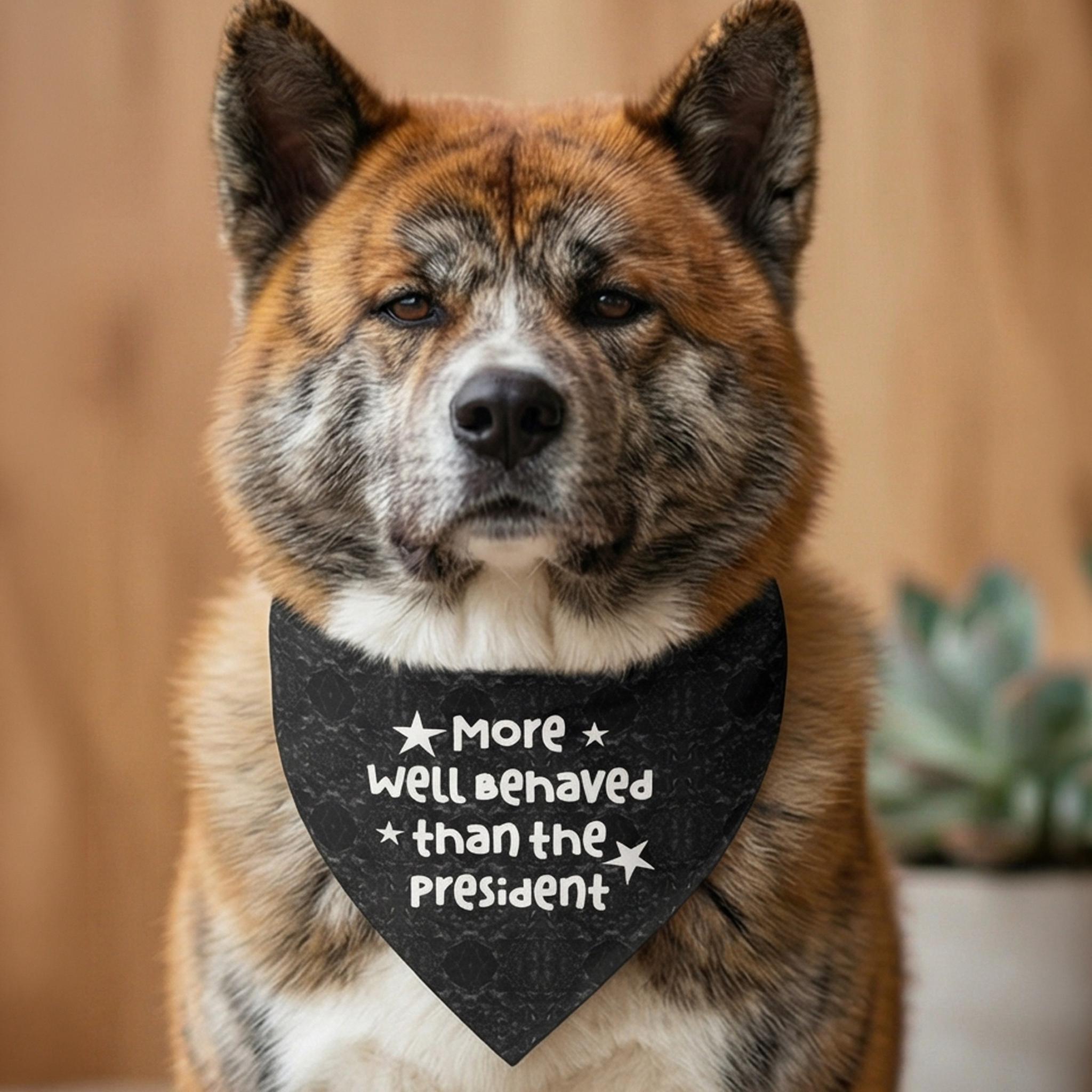 Akita dog wearing a black bandana with white text reading "More well behaved than the president."