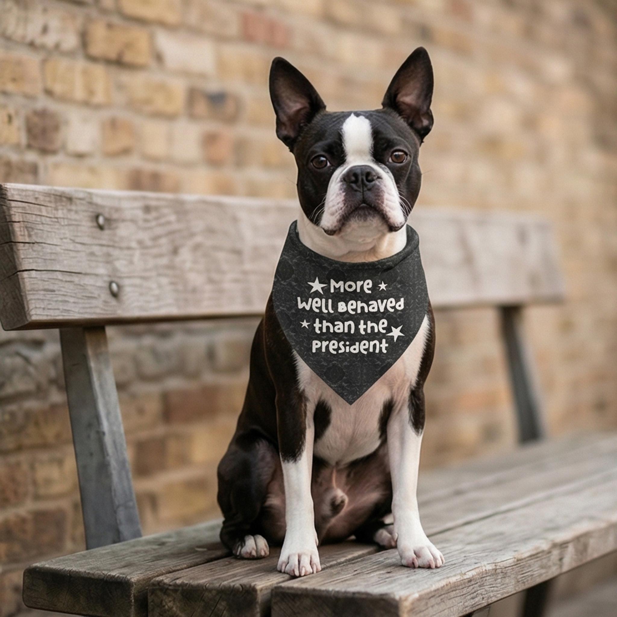 Boston terrier dog wearing a bandana that says "More well behaved than the president".