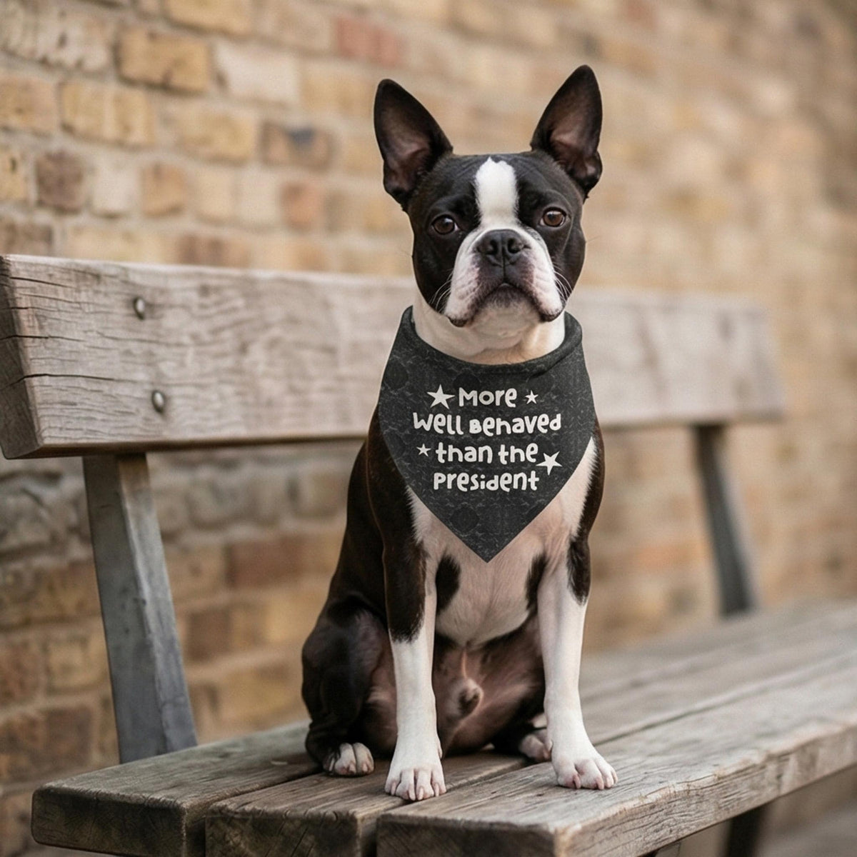 Boston terrier dog wearing a bandana that says "More well behaved than the president".
