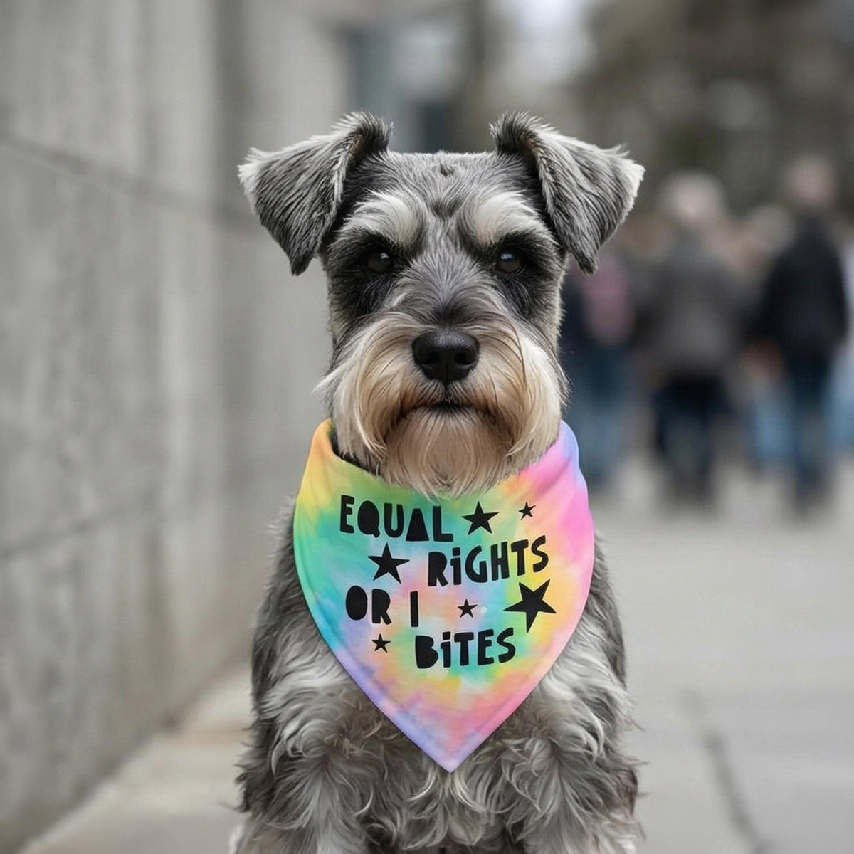Miniature Schnauzer wearing a tie-dye bandana that says "Equal Rights or I Bites".