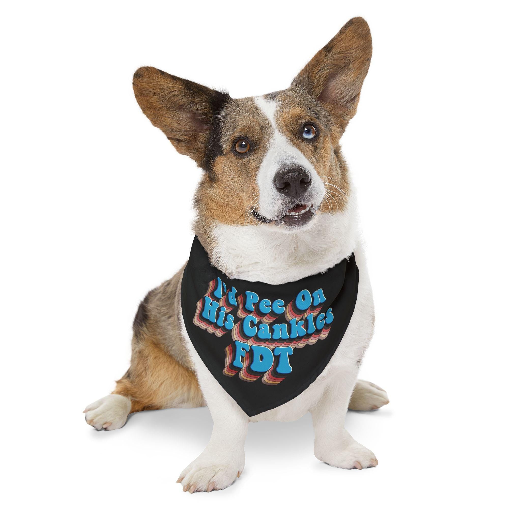 Corgi wearing a bandana that says "I&