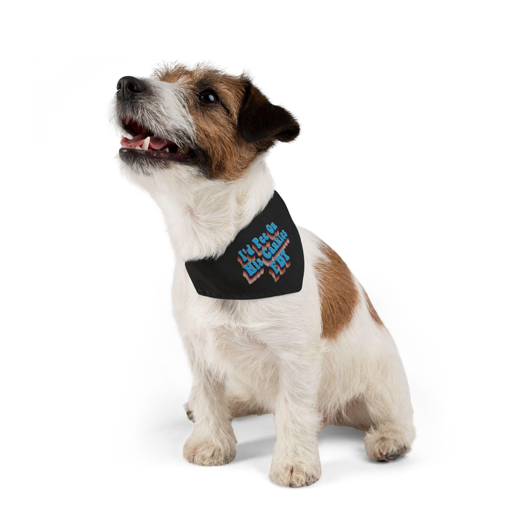 Jack Russell Terrier wearing a black bandana with "I&
