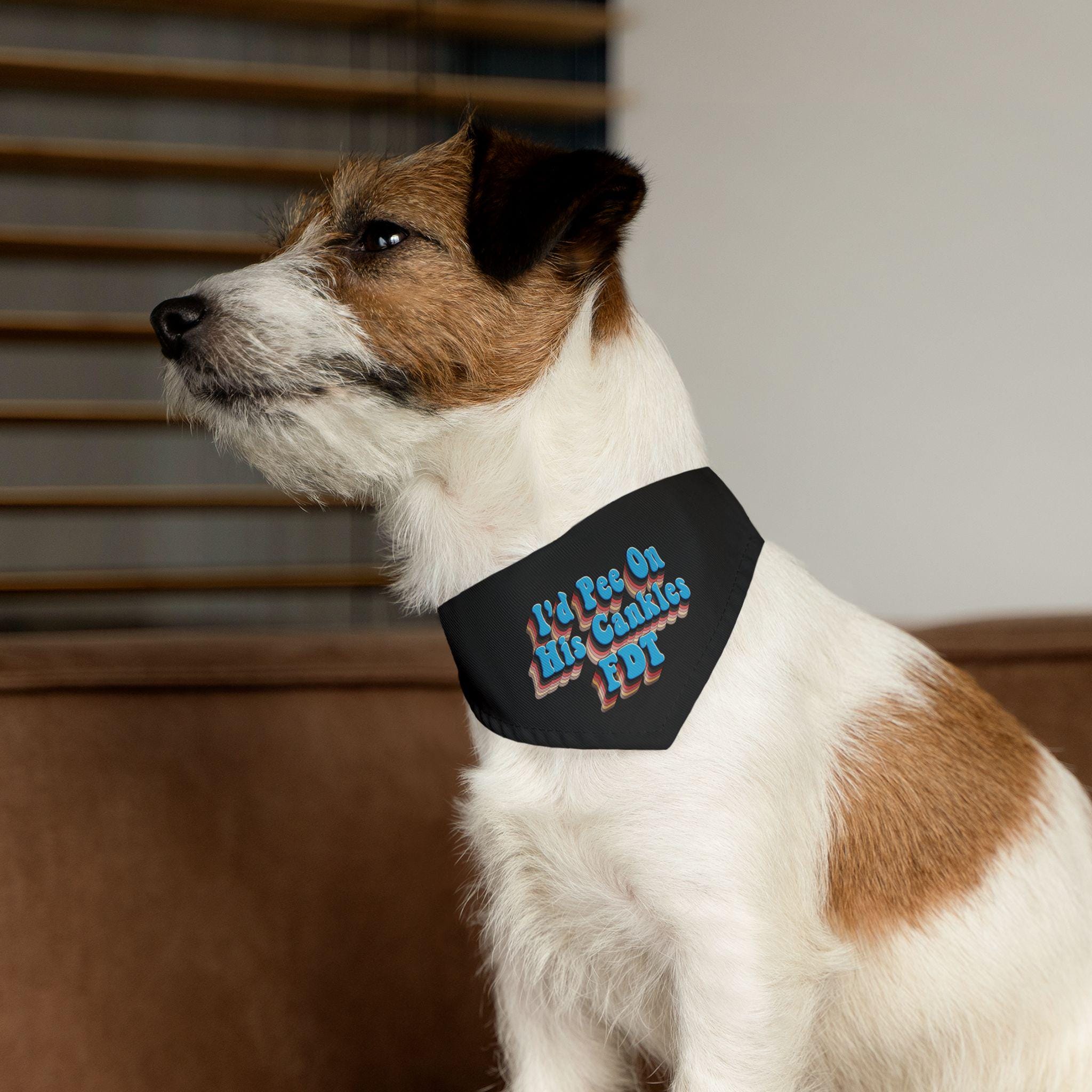 Dog wearing a black bandana with "I&