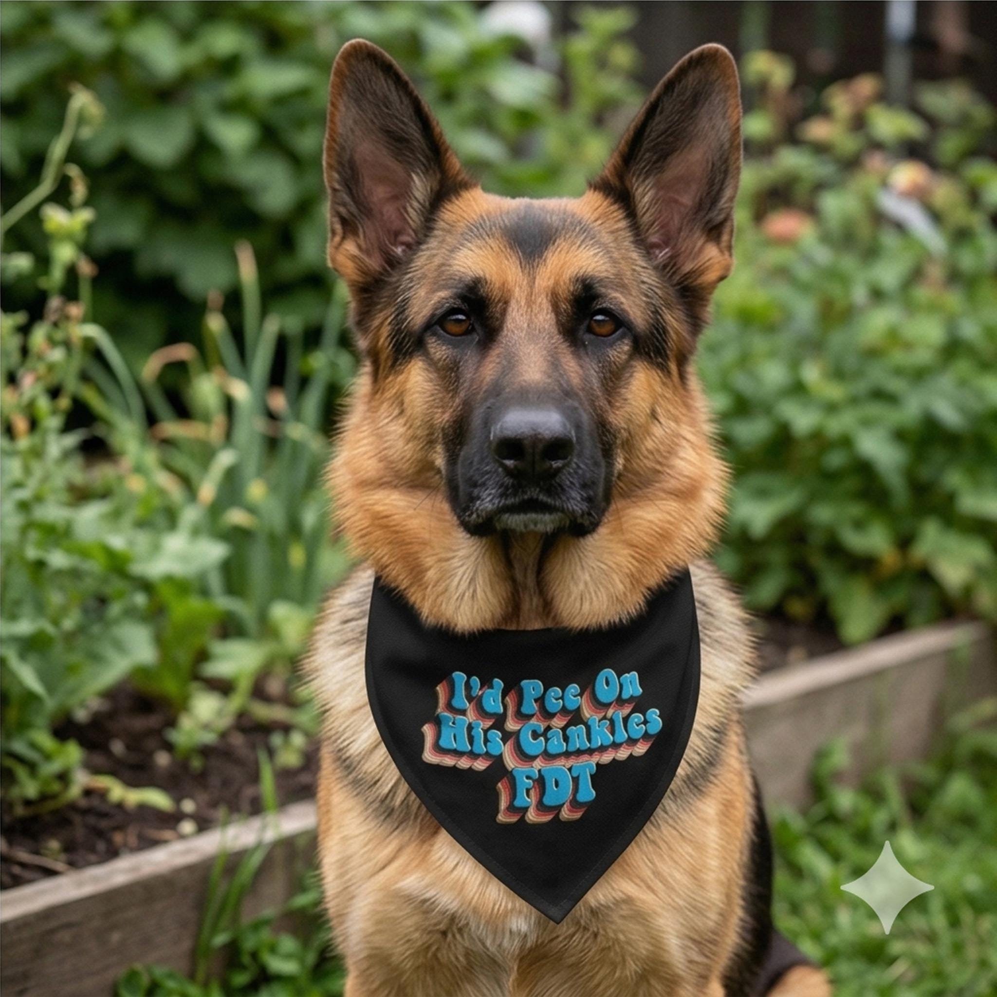 German Shepherd dog wearing a black bandana with blue text.