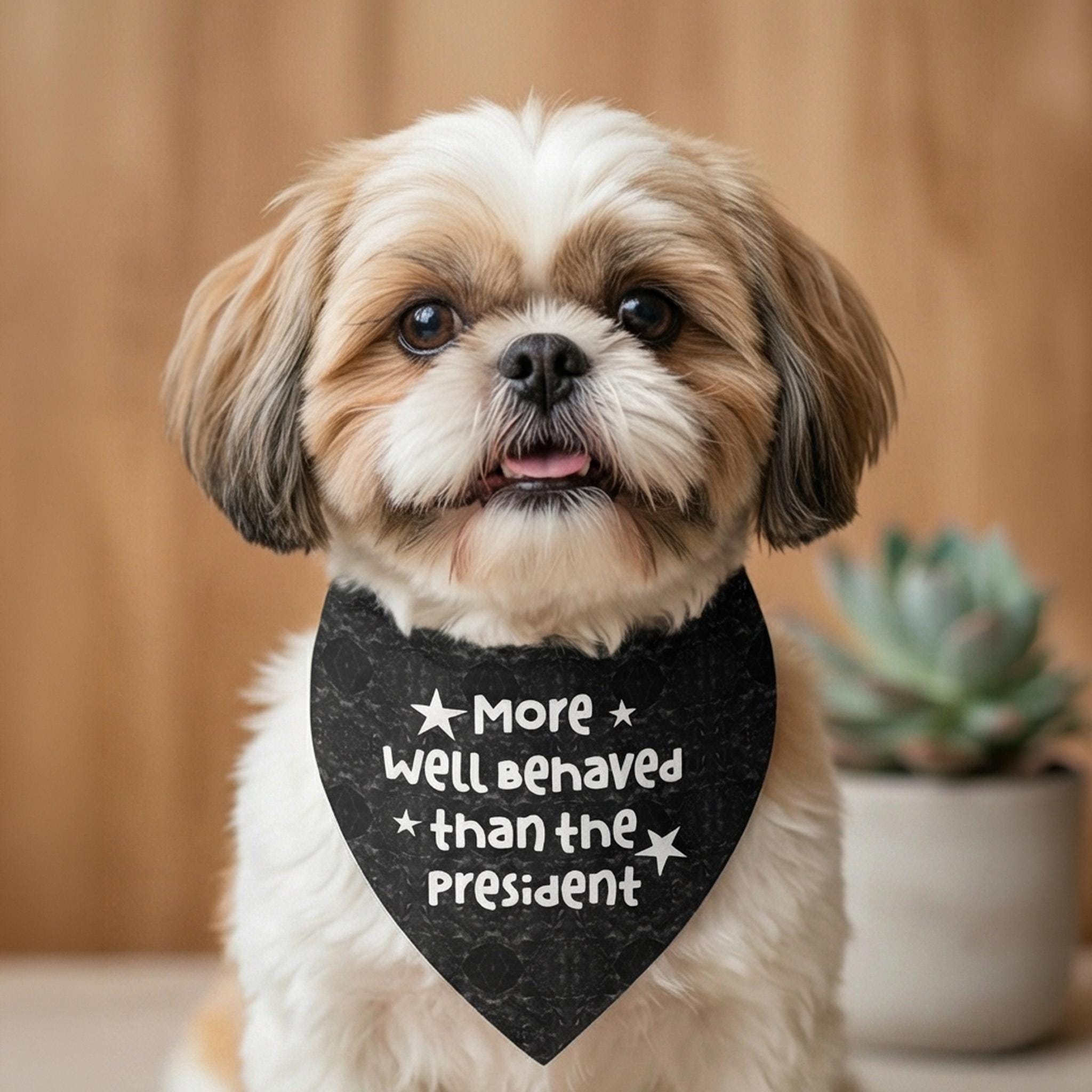 Shih Tzu wearing black bandana with white text: "More Well Behaved than the President."