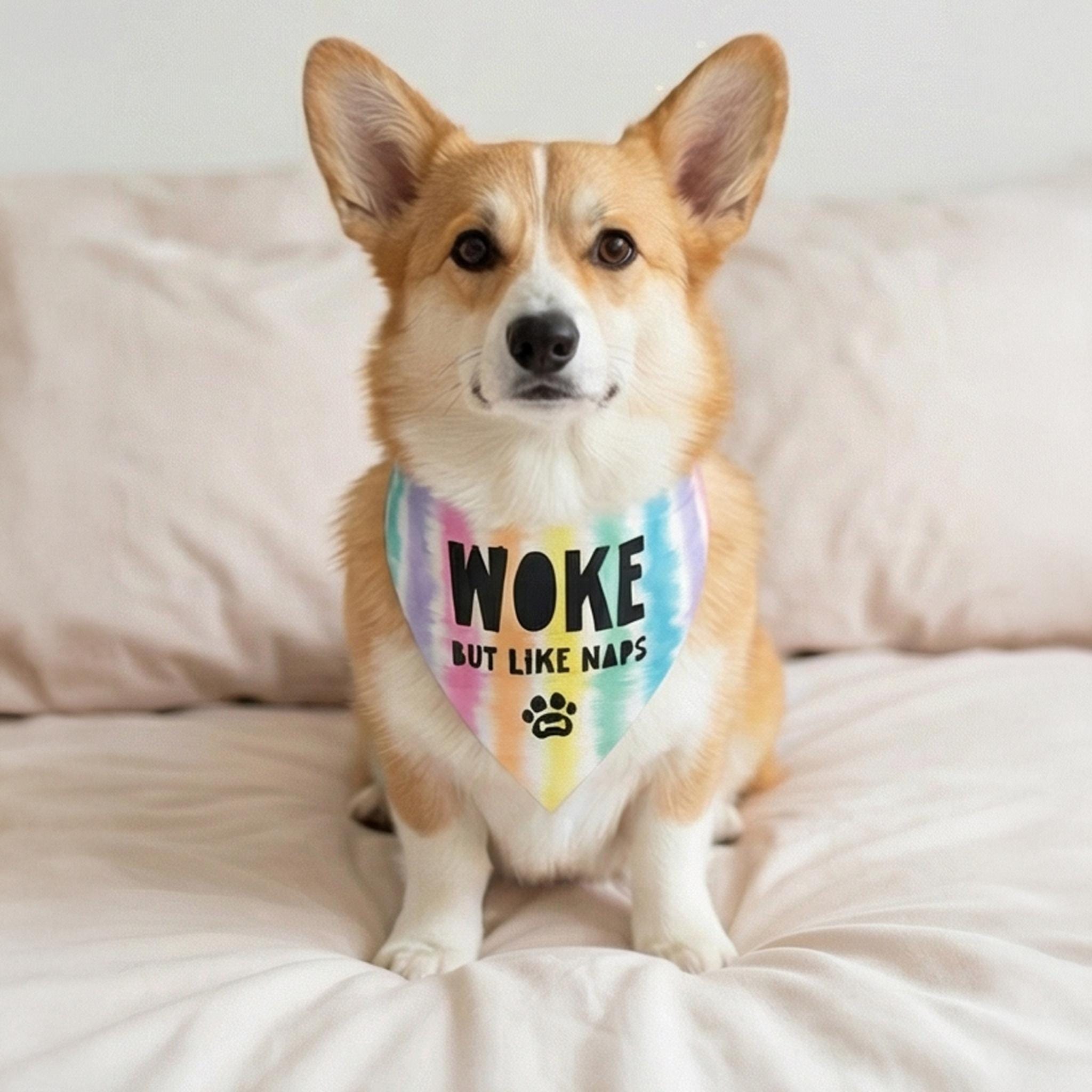 Corgi wearing a bandana that says "Woke but like naps."
