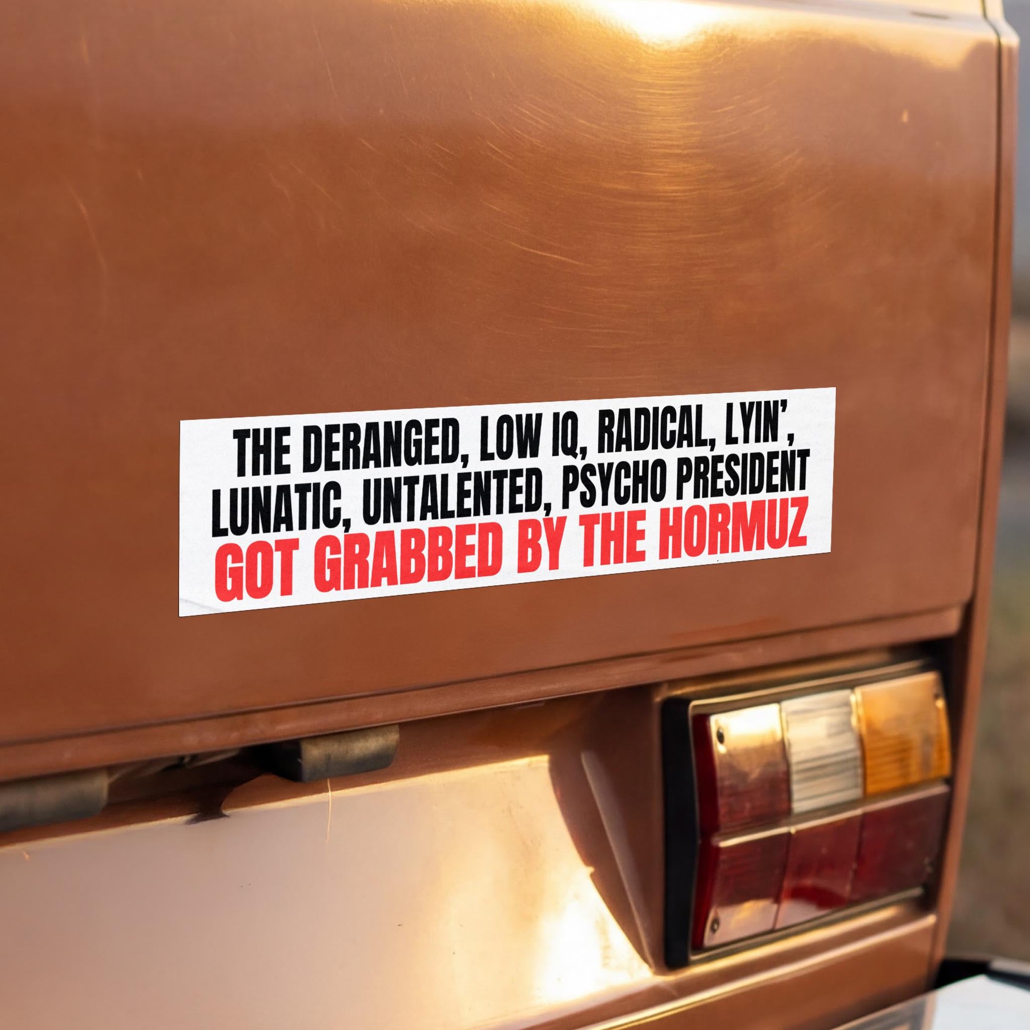 Sticker on car: "THE DERANGED, LOW IQ, RADICAL, LYIN&