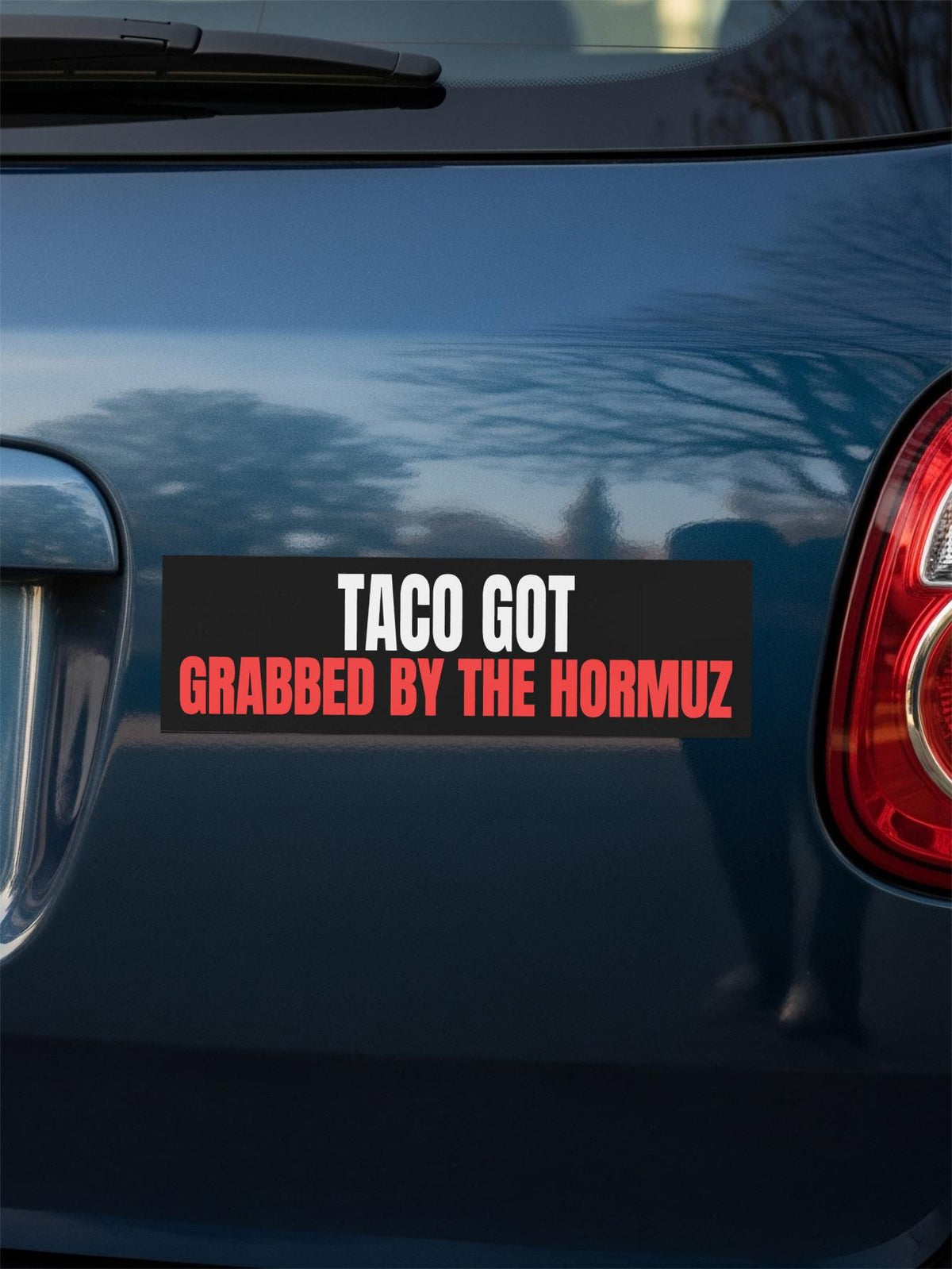 TACO GOT GRABBED BY THE HORMOZ bumper sticker on a dark blue car.