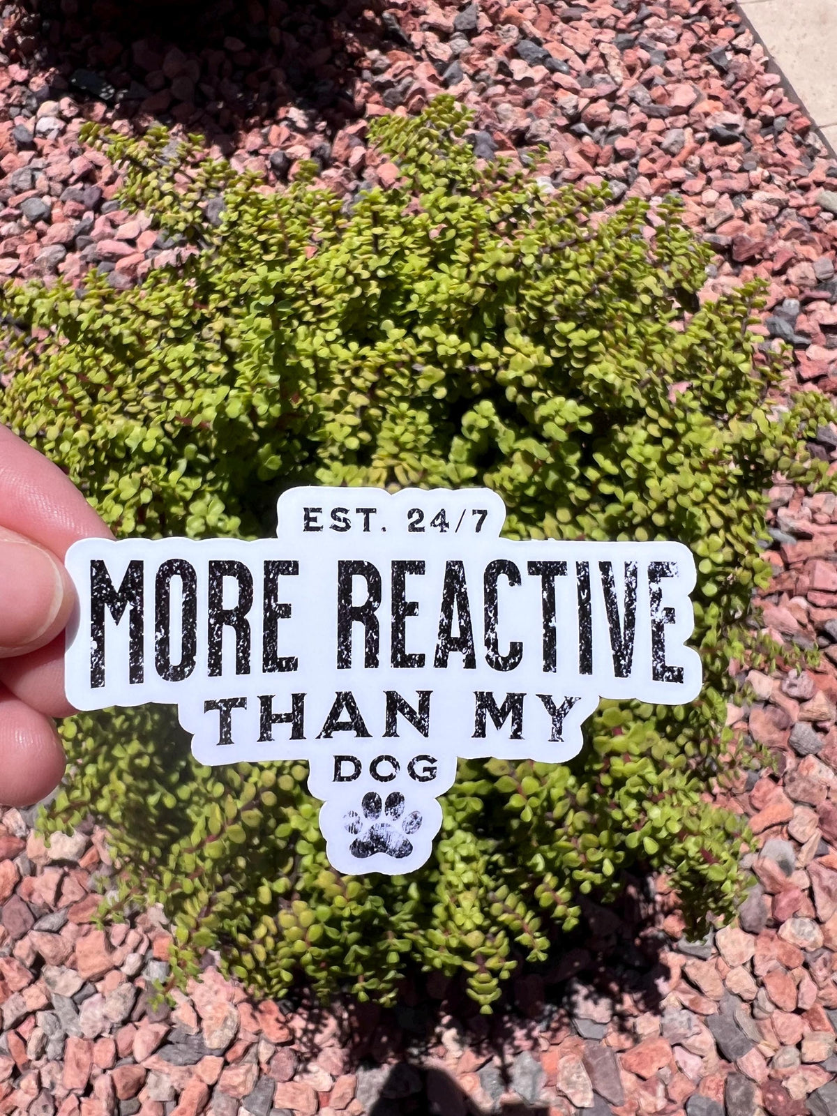 May include: A white sticker with black text that reads "EST. 24/7 MORE REACTIVE THAN MY DOG" with a paw print graphic. The sticker is held in front of a green bush and a background of small red and brown rocks.