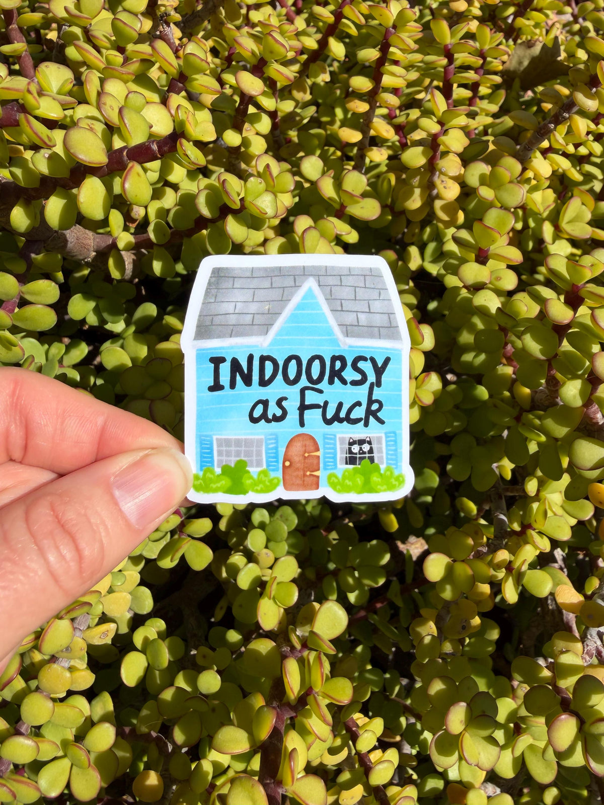 Funny Introvert Sticker, Indoorsy as F*ck Sticker, Homebody Sticker, Cozy Cat Sticker, Laptop Water Bottle Decal, Introvert Gift