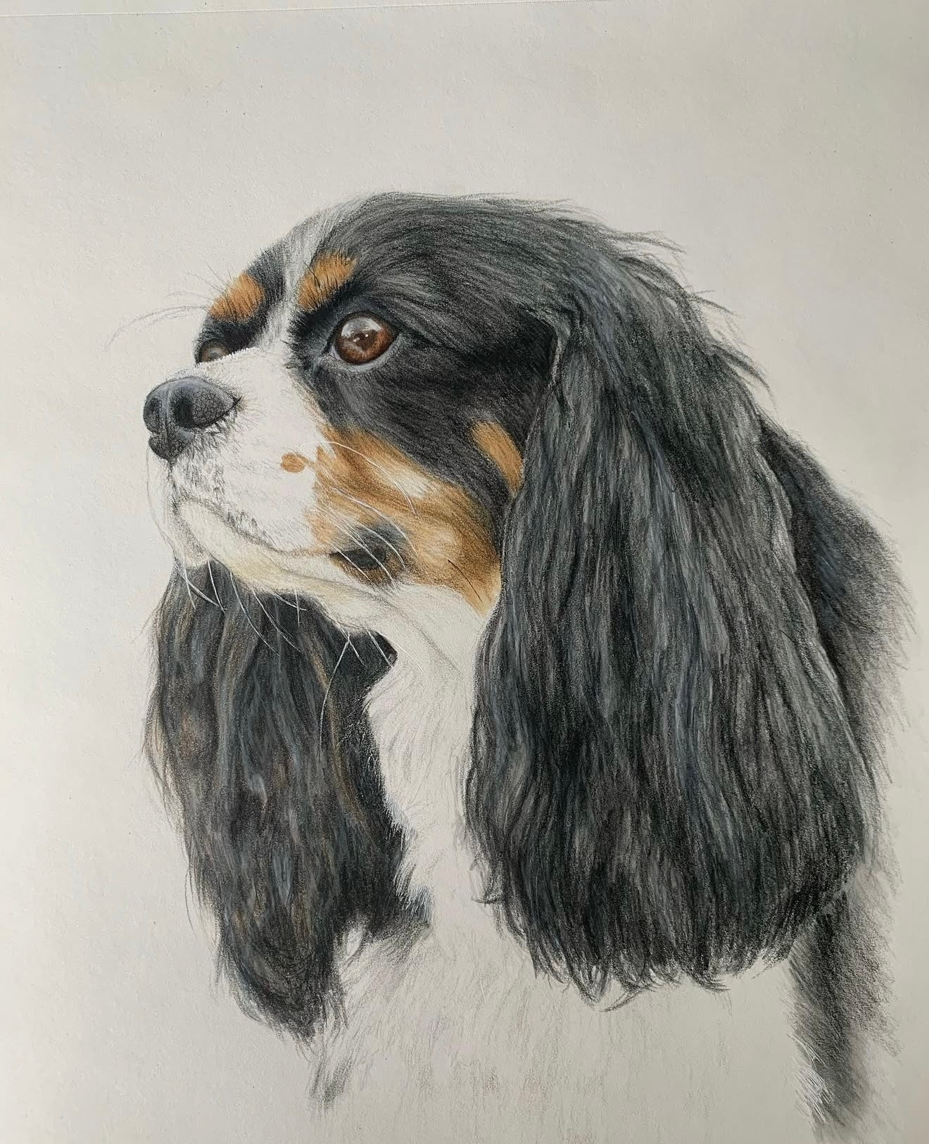 Custom Pet Portrait 8x10