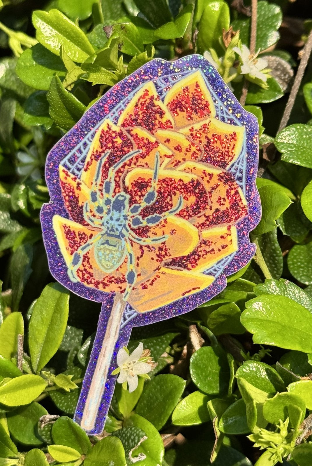 Mango Banana Spider Sticker