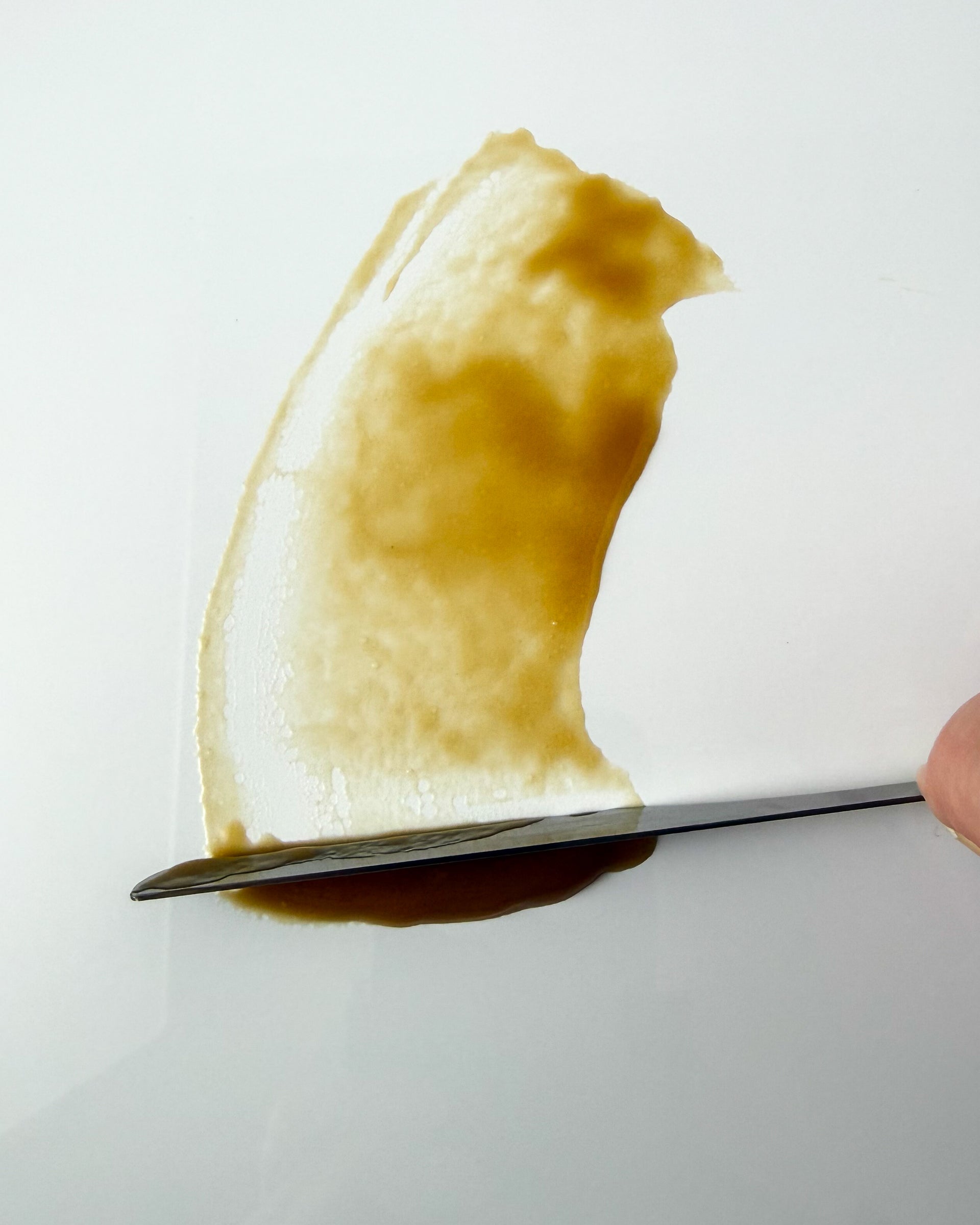 Close-up of a spatula spreading Twilight Birch serum, yellowish brown serum gel on a white background