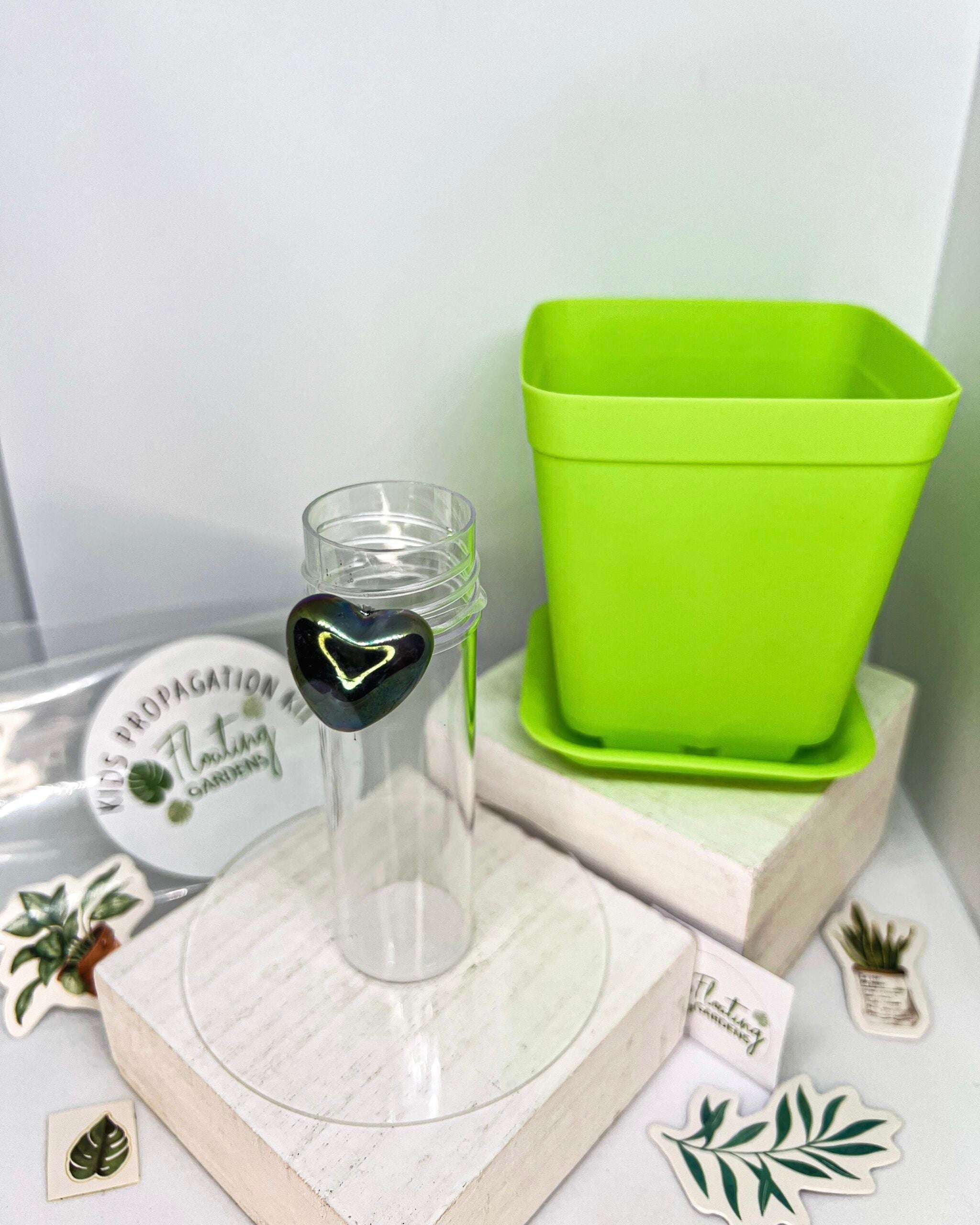 Kids Propagation Kit - Hearts
