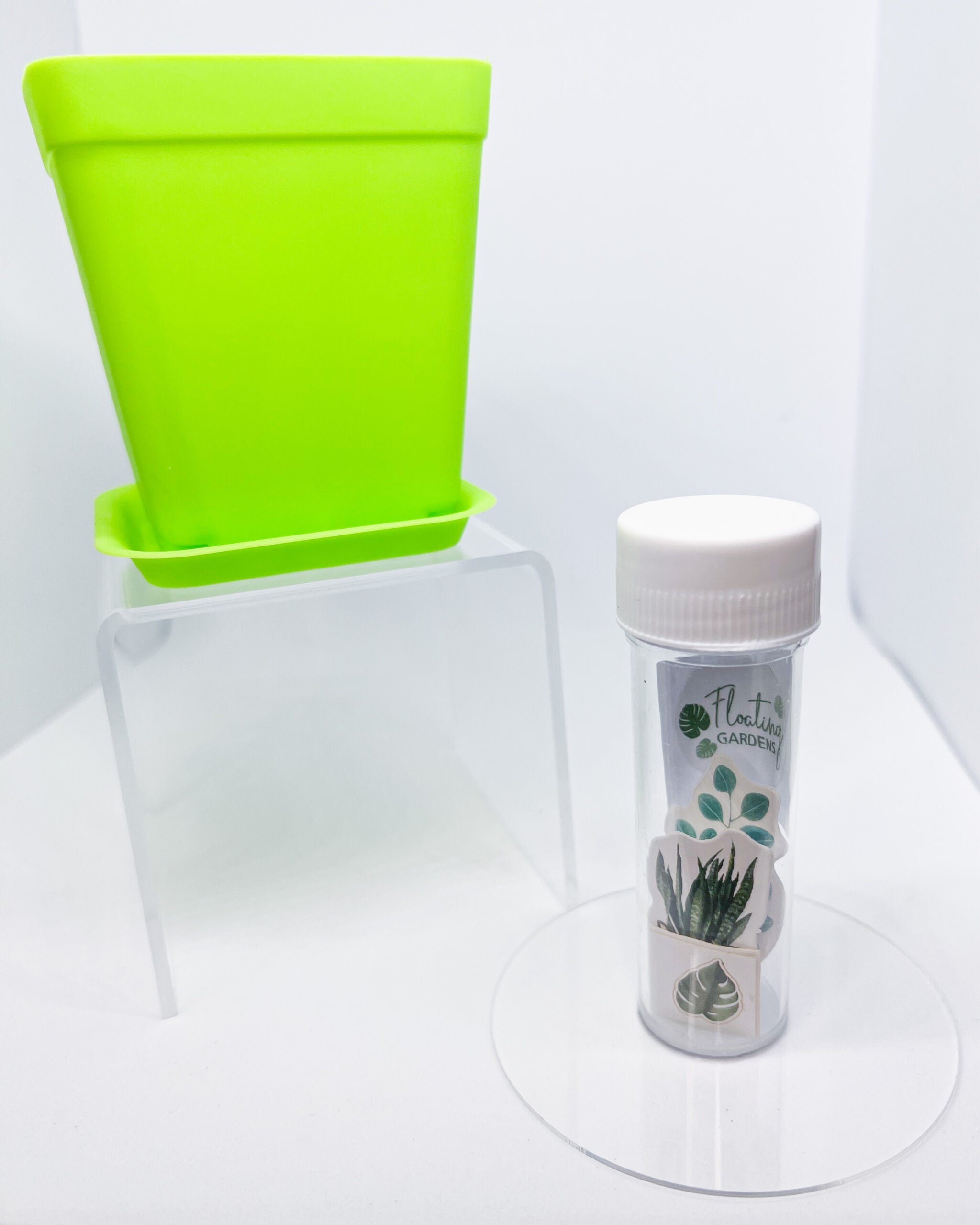 Kids Propagation Kit - Original