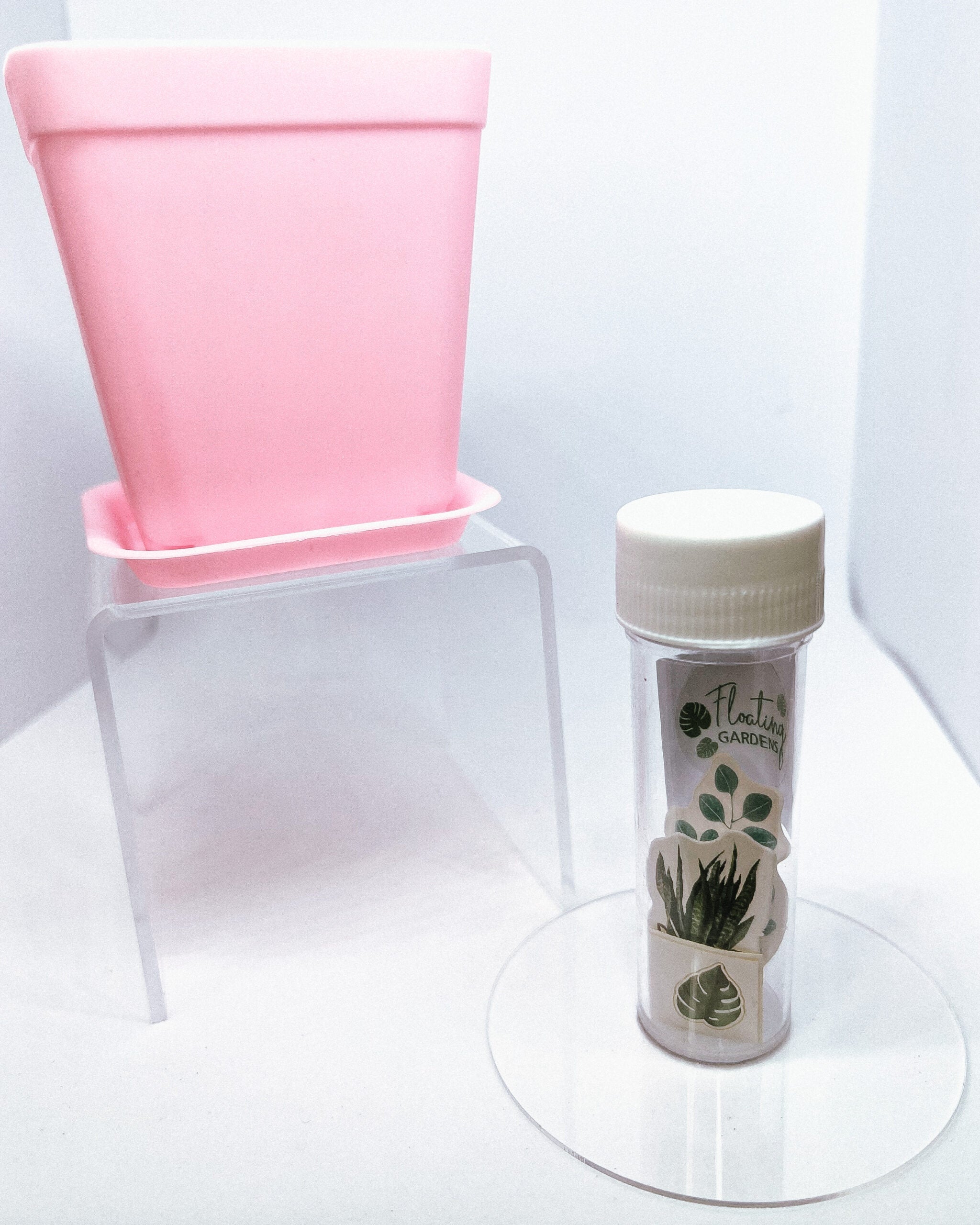 Kids Propagation Kit - Original