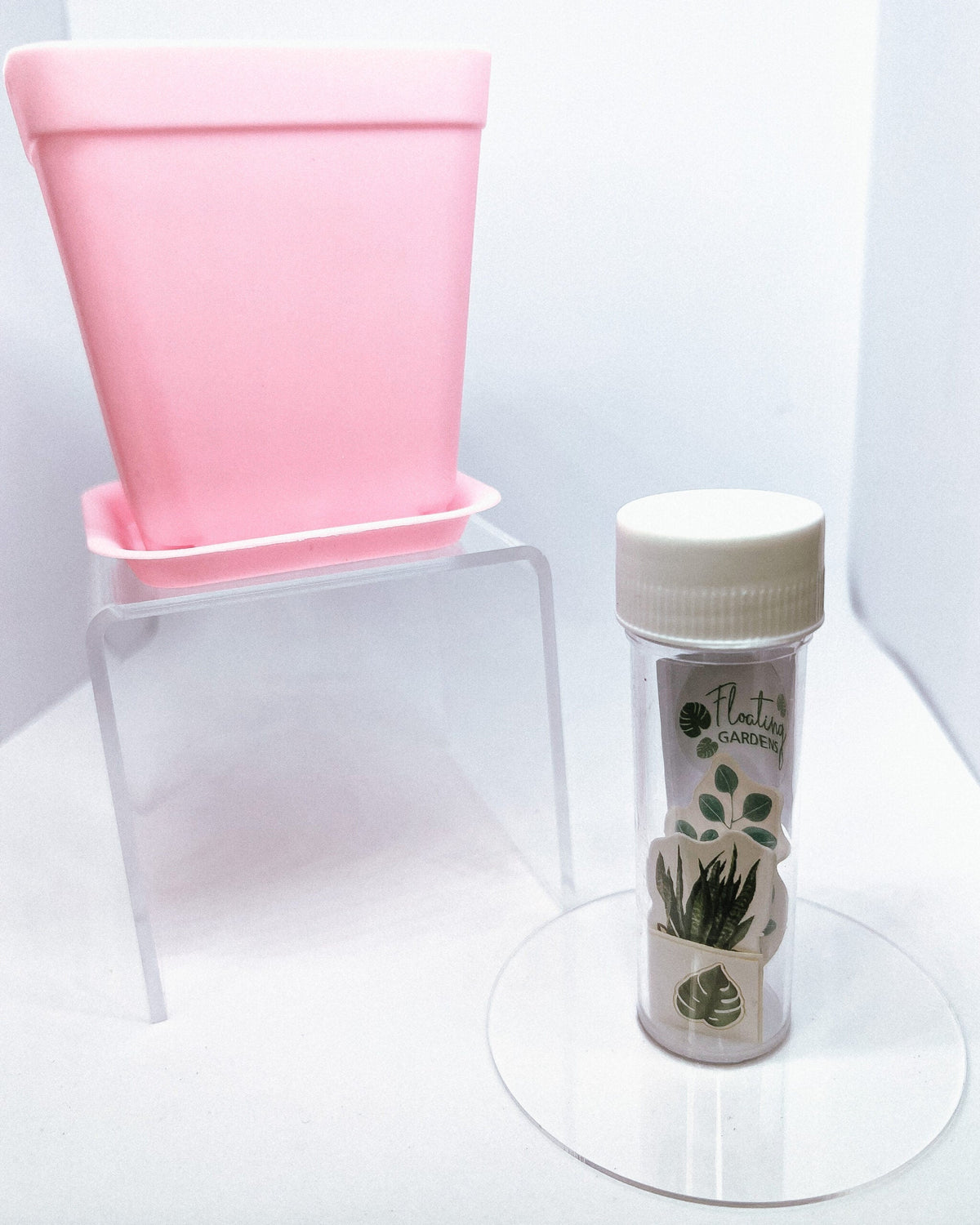 Kids Propagation Kit - Original