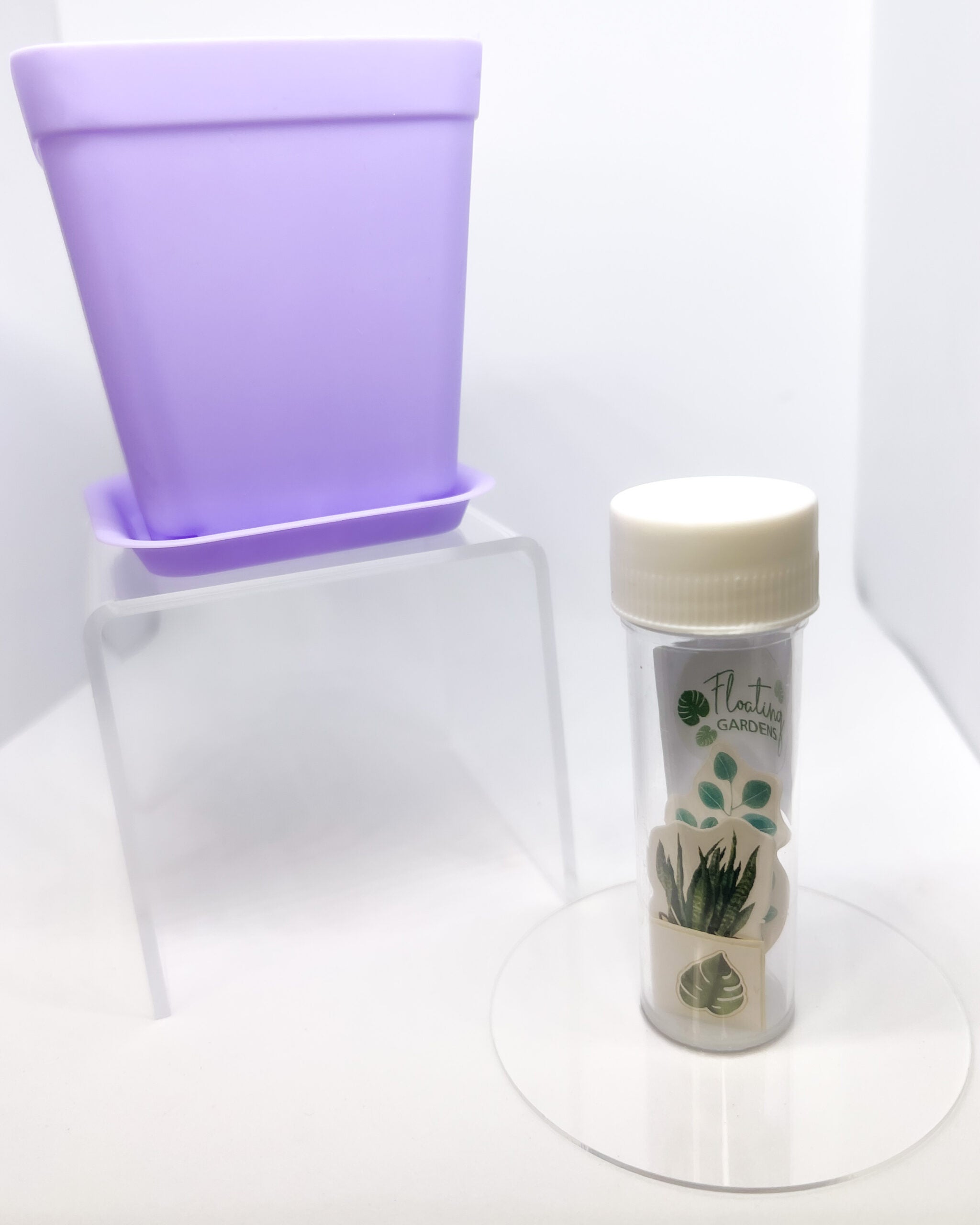 Kids Propagation Kit - Original