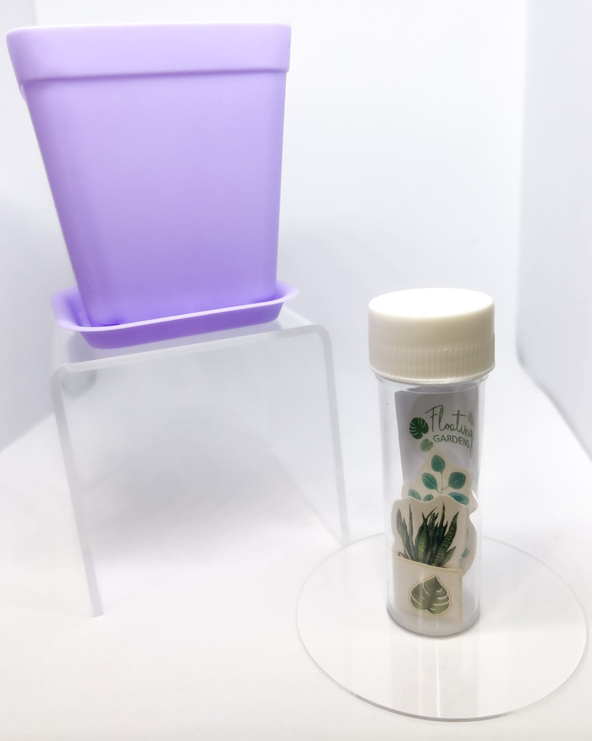 Kids Propagation Kit - Original