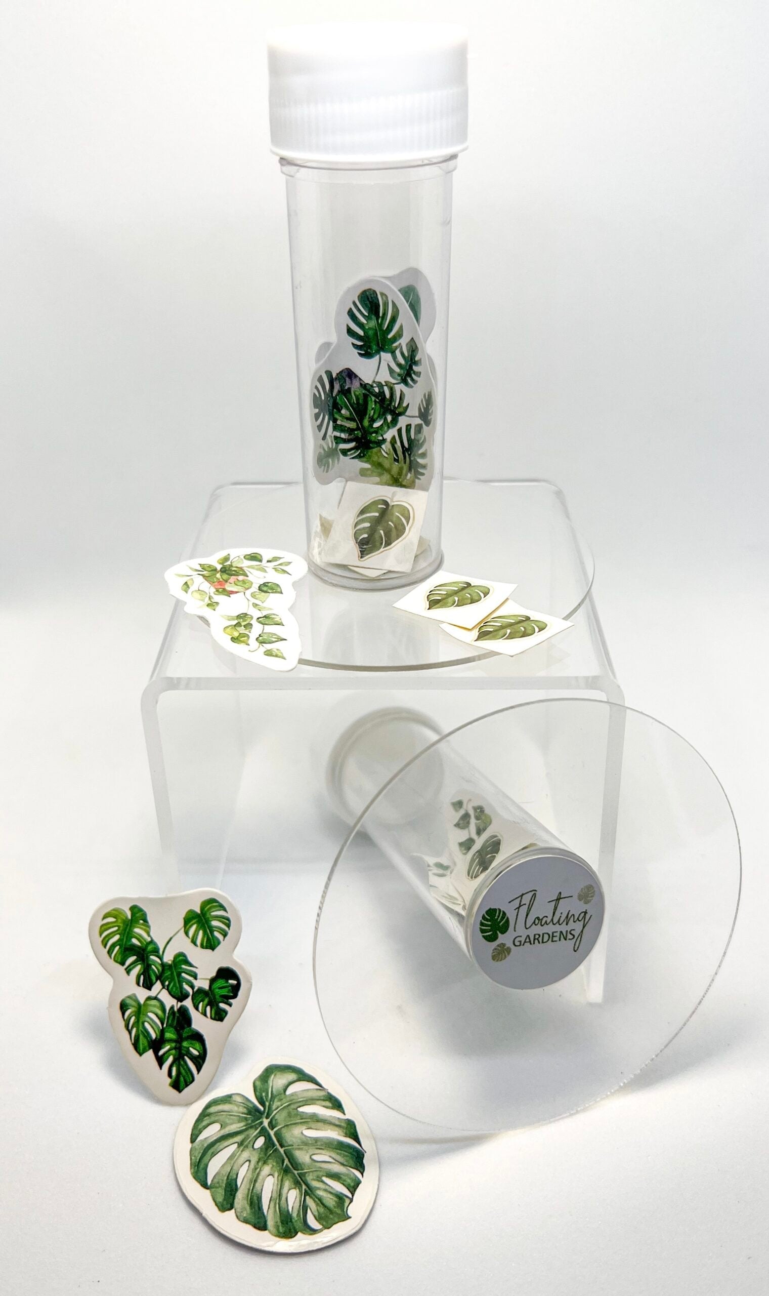 Kids Propagation Kit - Original