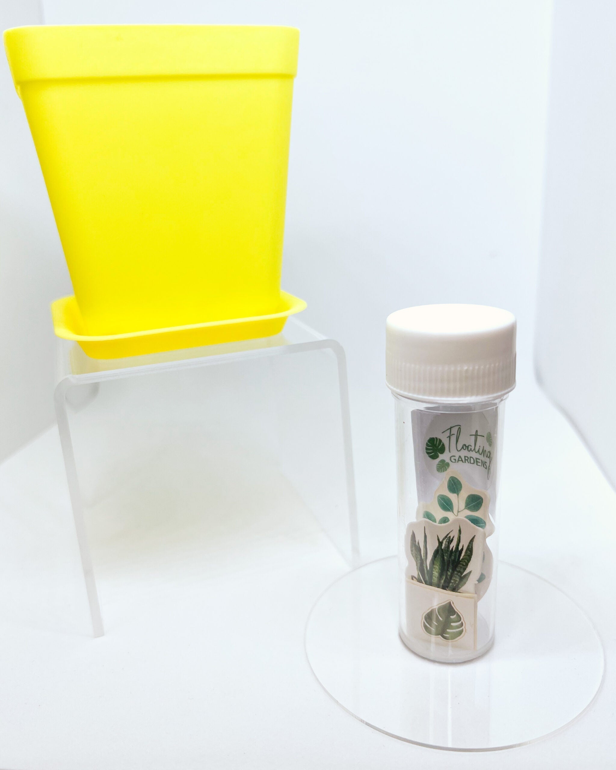 Kids Propagation Kit - Original